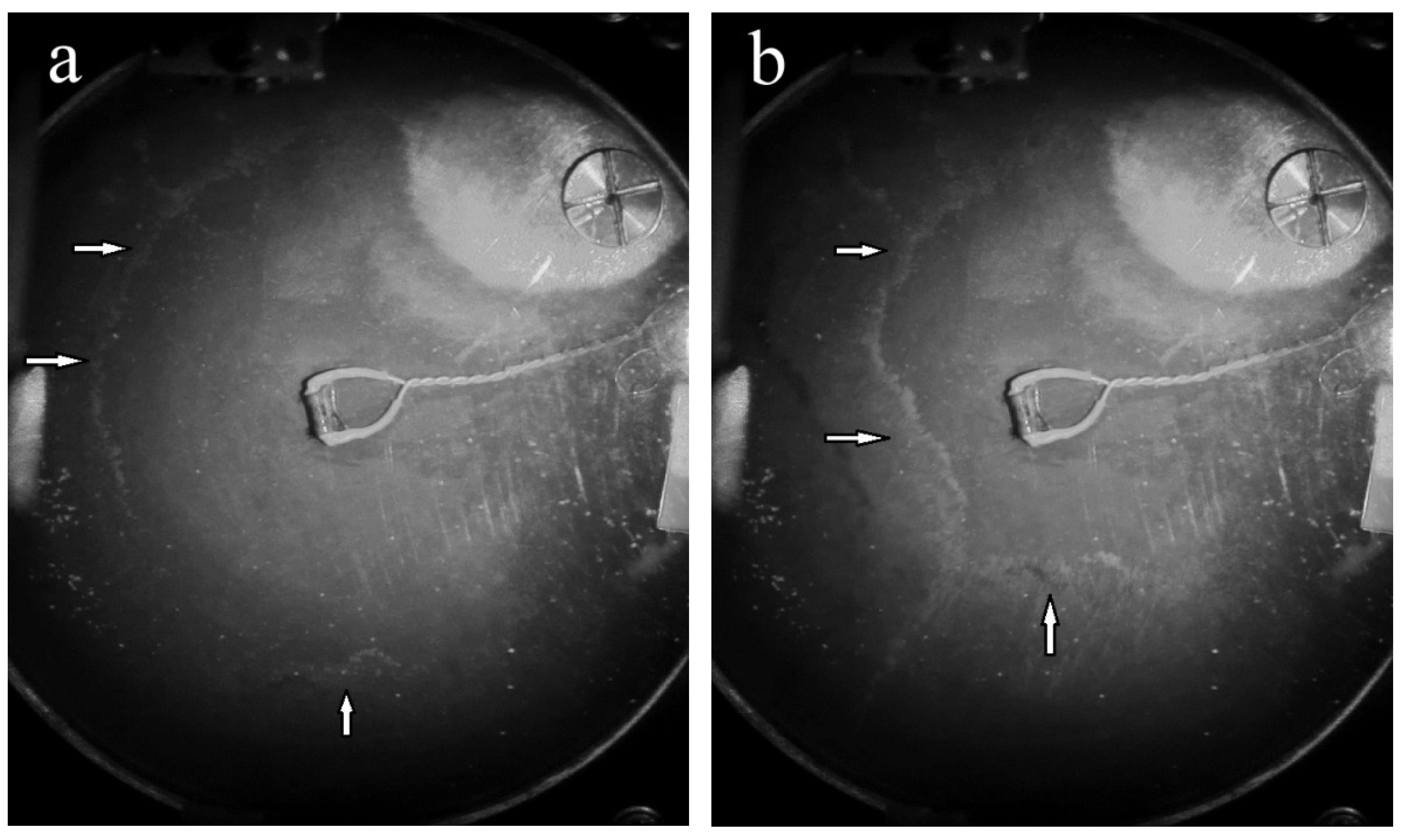 Materials 14 07514 g004