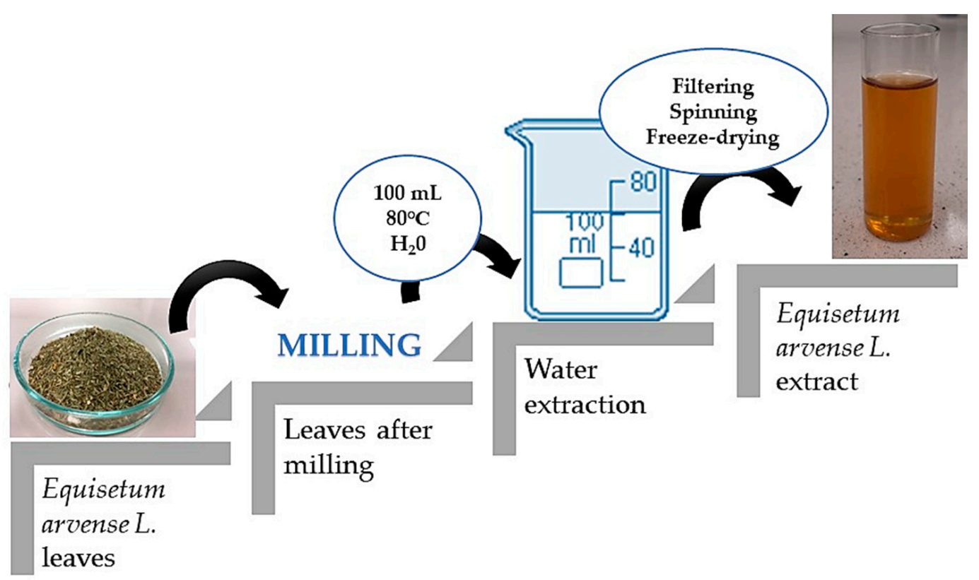 Materials 14 07533 g001