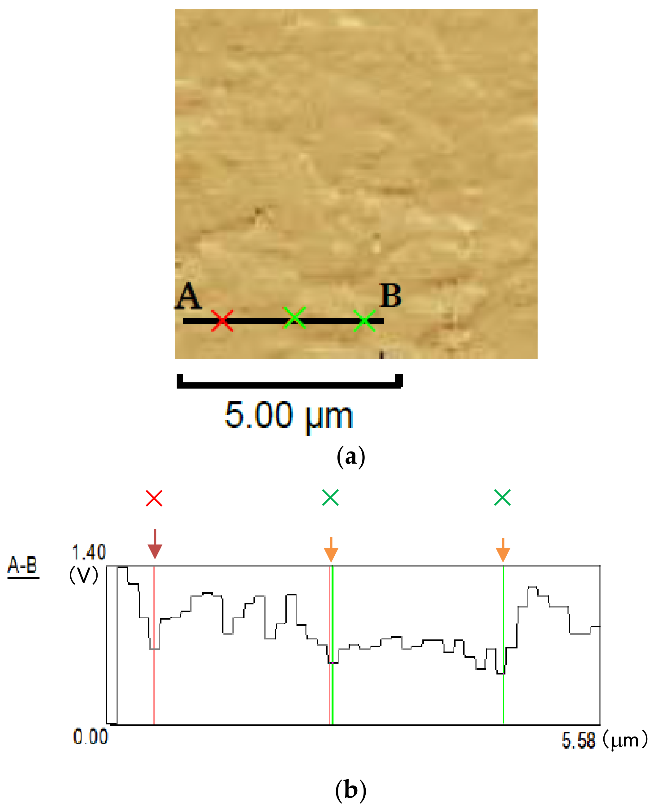 Materials 14 07538 g002