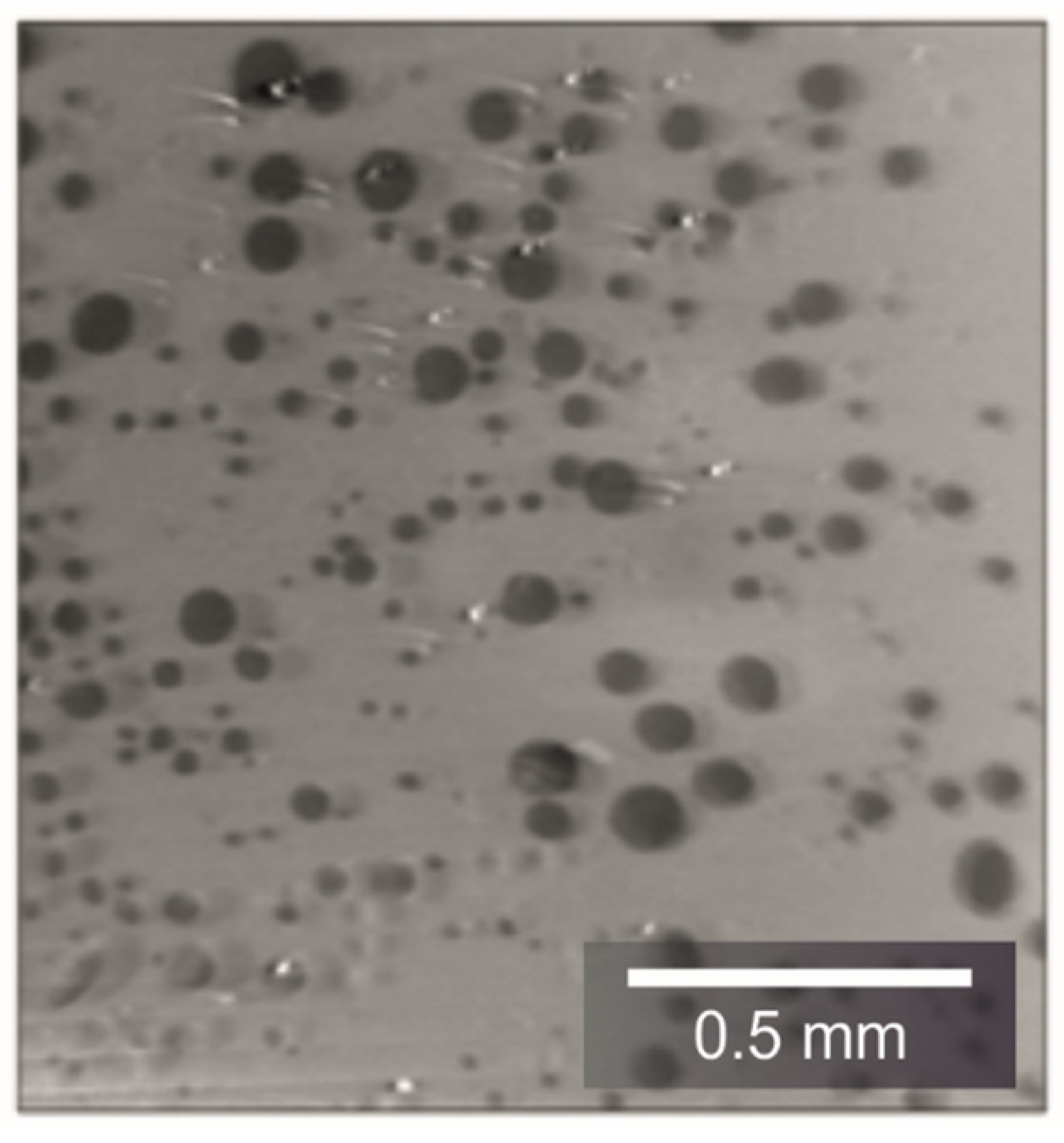 Materials 14 07556 g013