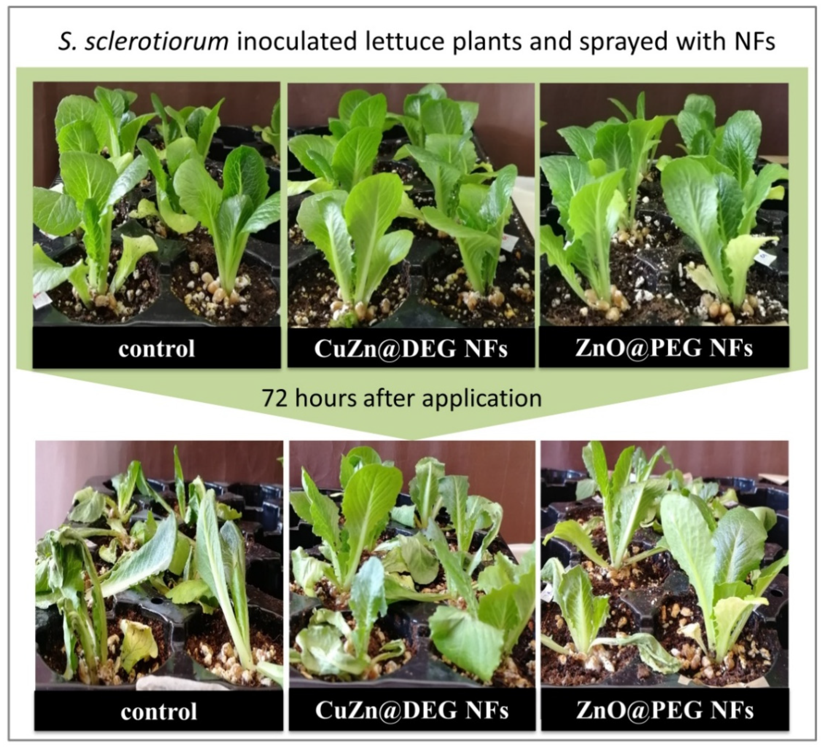 Materials 14 07600 g007