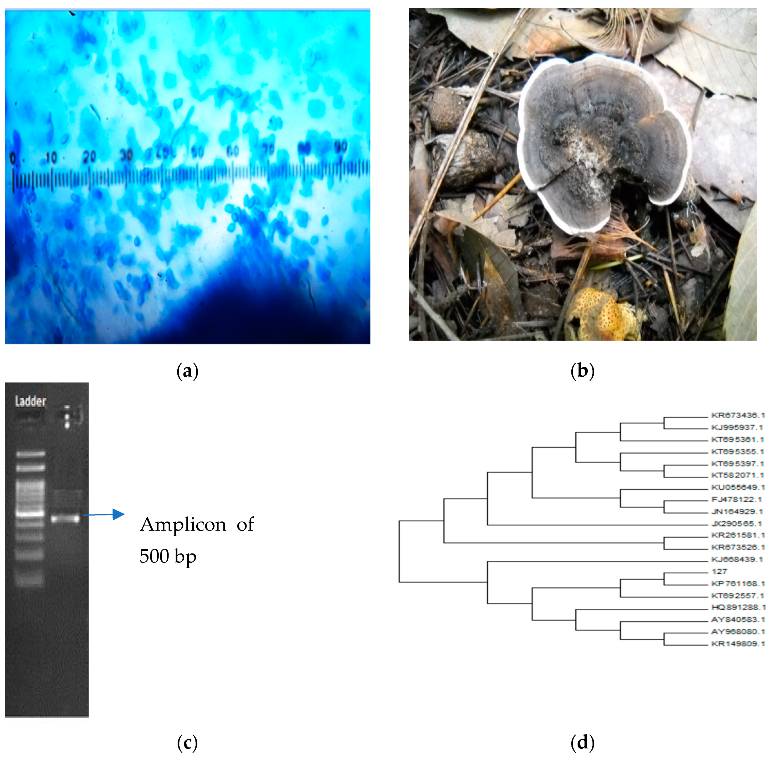Materials 14 07640 g001