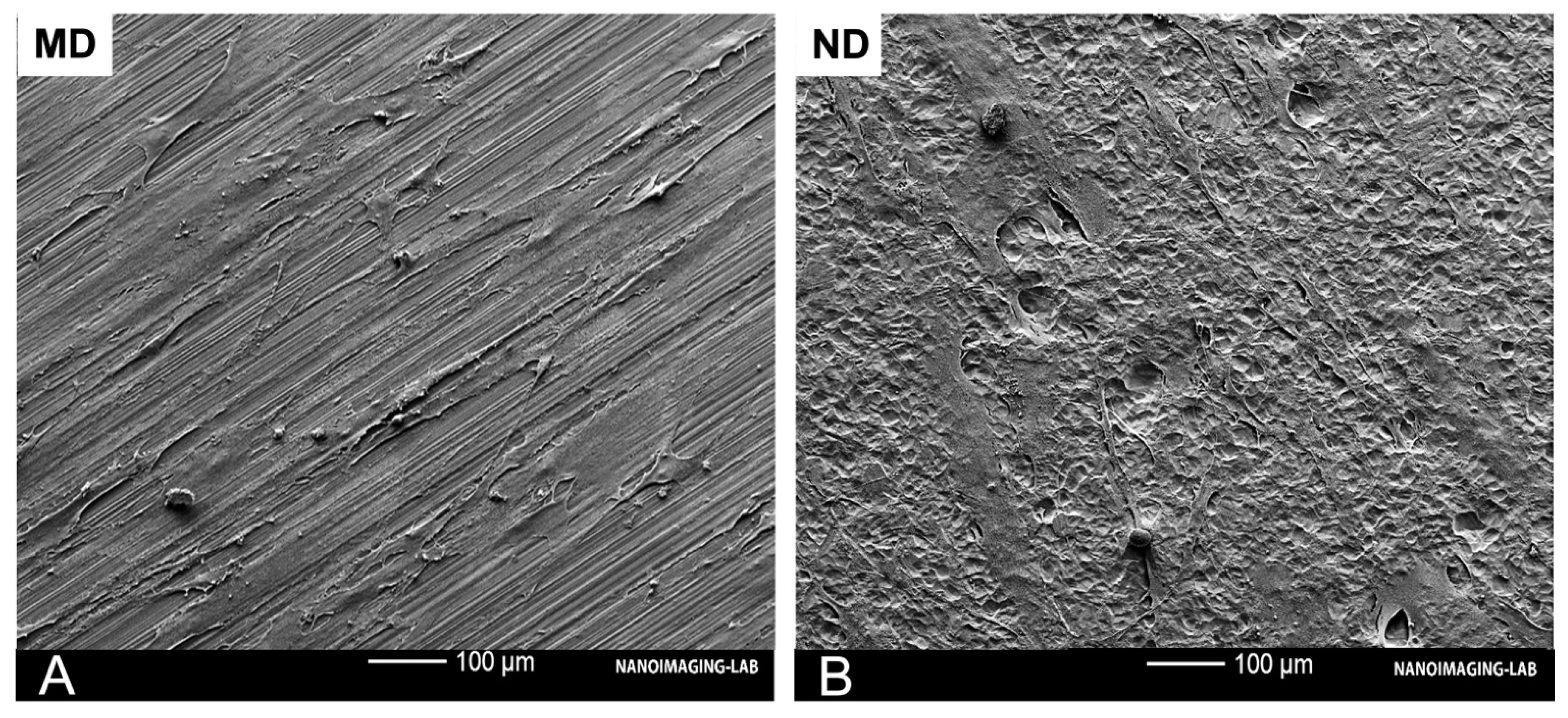 Materials 14 07686 g006 Materials 14 07686 g006