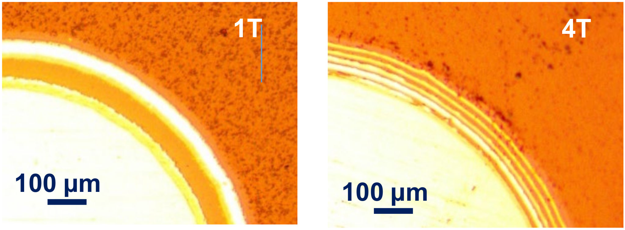 Materials 14 07694 g001