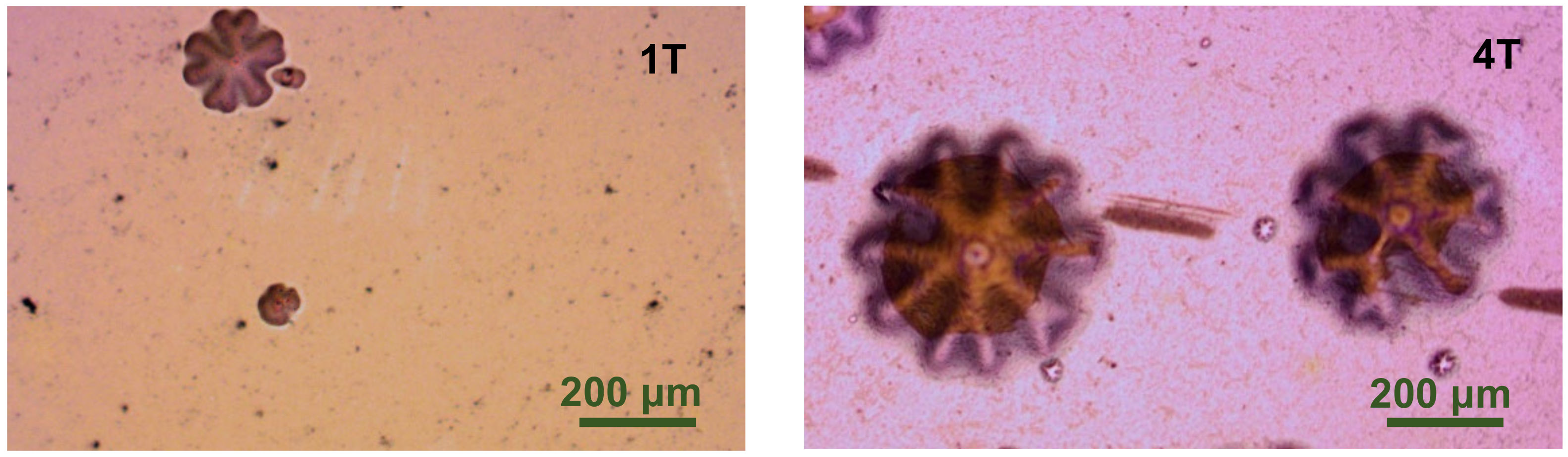 Materials 14 07694 g006