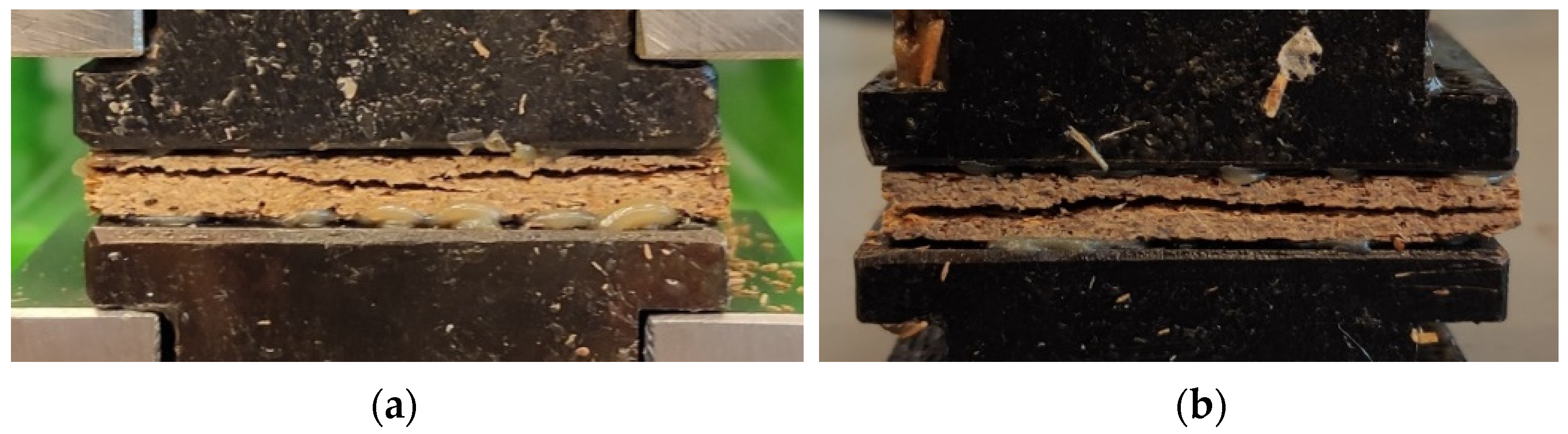 Materials 14 07718 g005