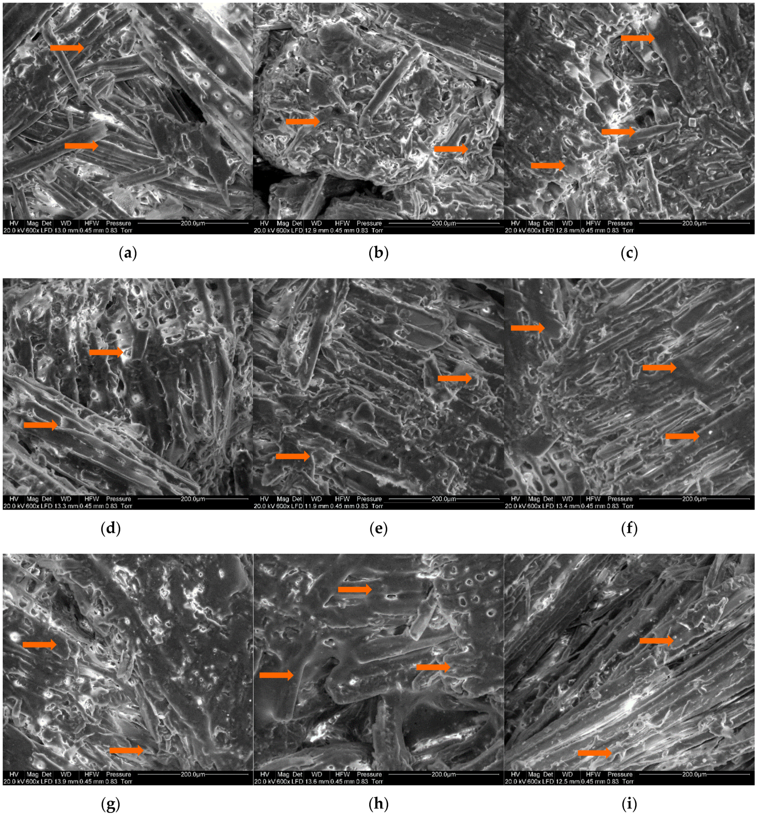 Materials 14 07718 g006