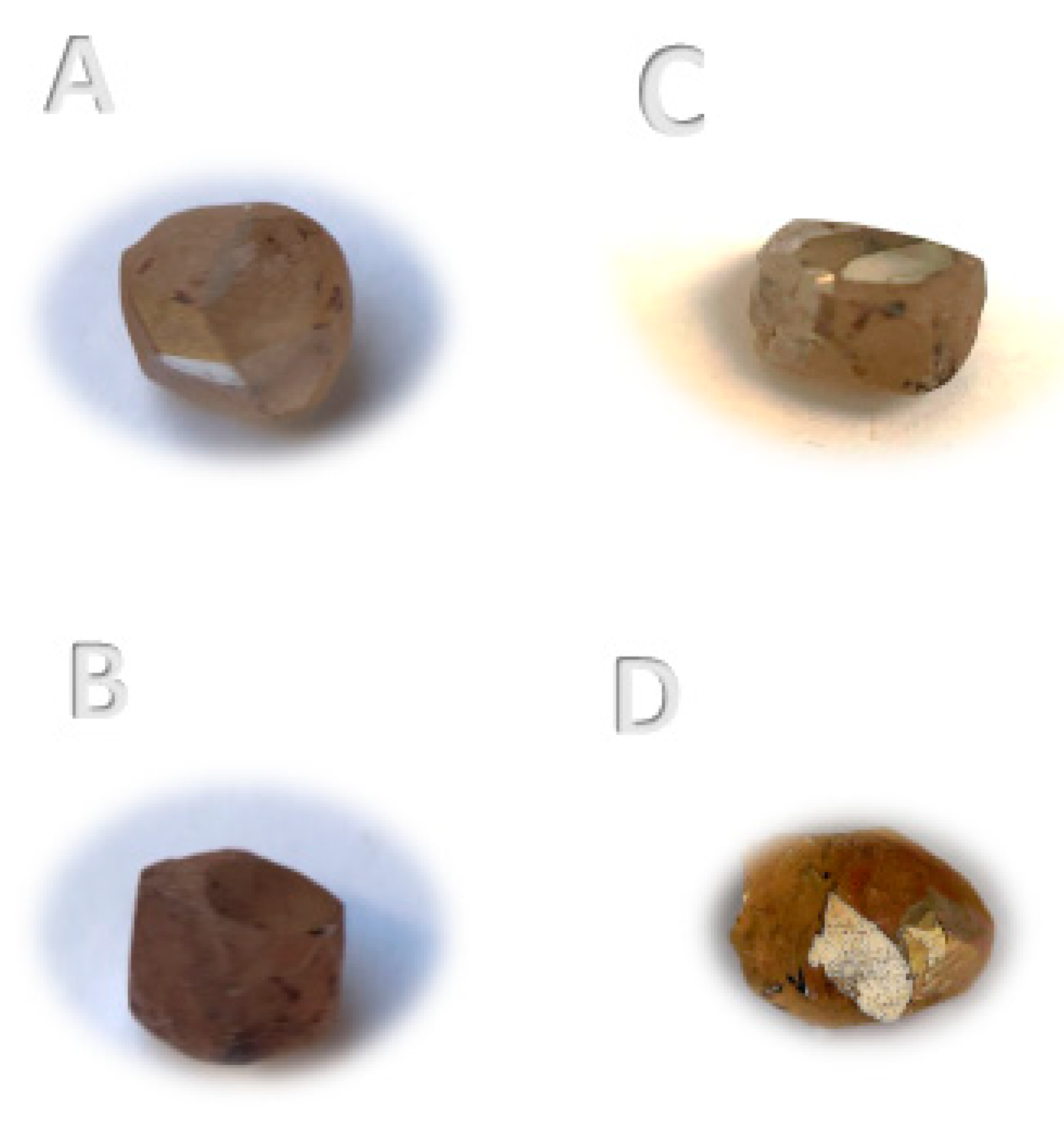 Materials 14 07719 g003