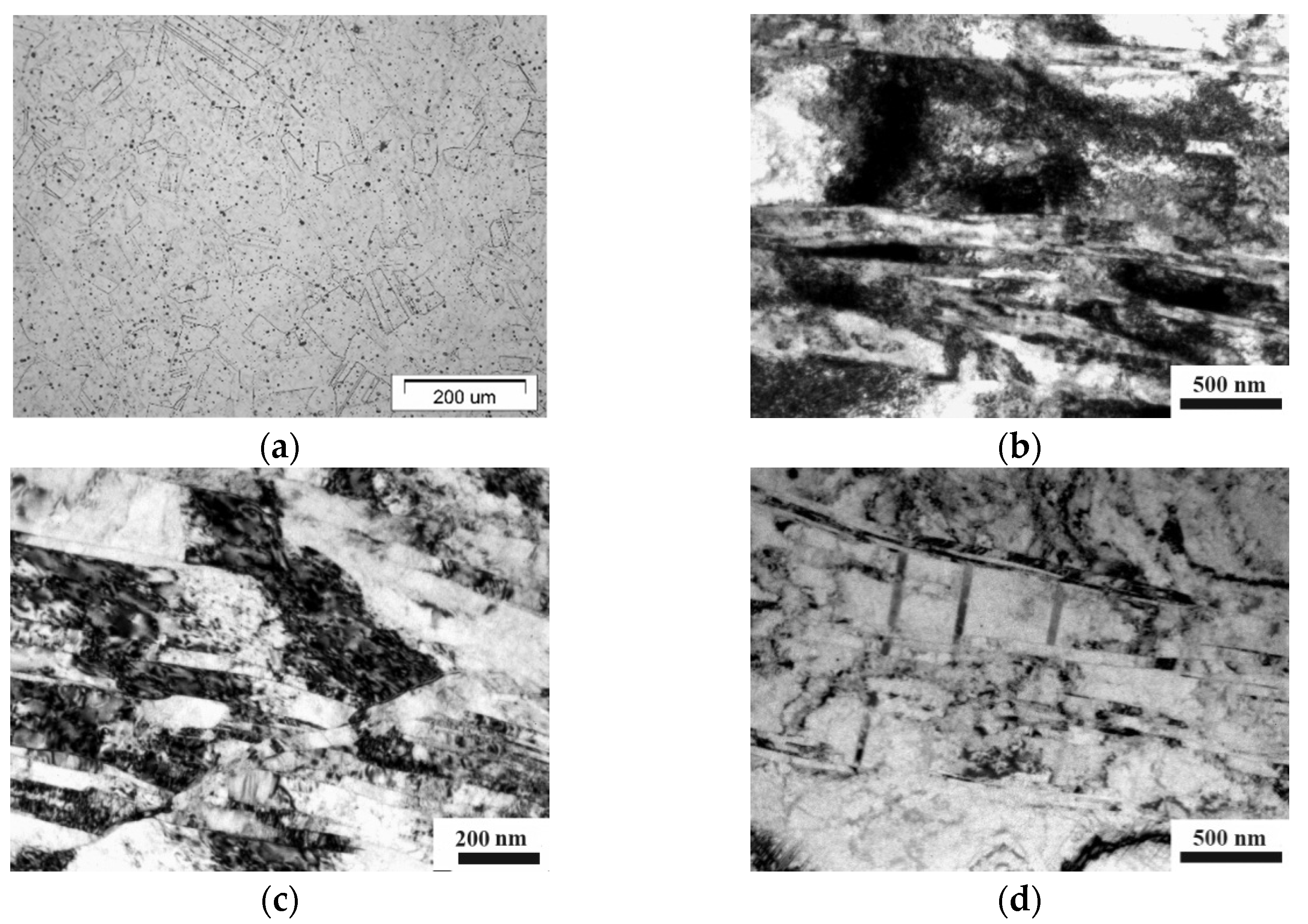 Materials 14 07739 g001 Materials 14 07739 g001