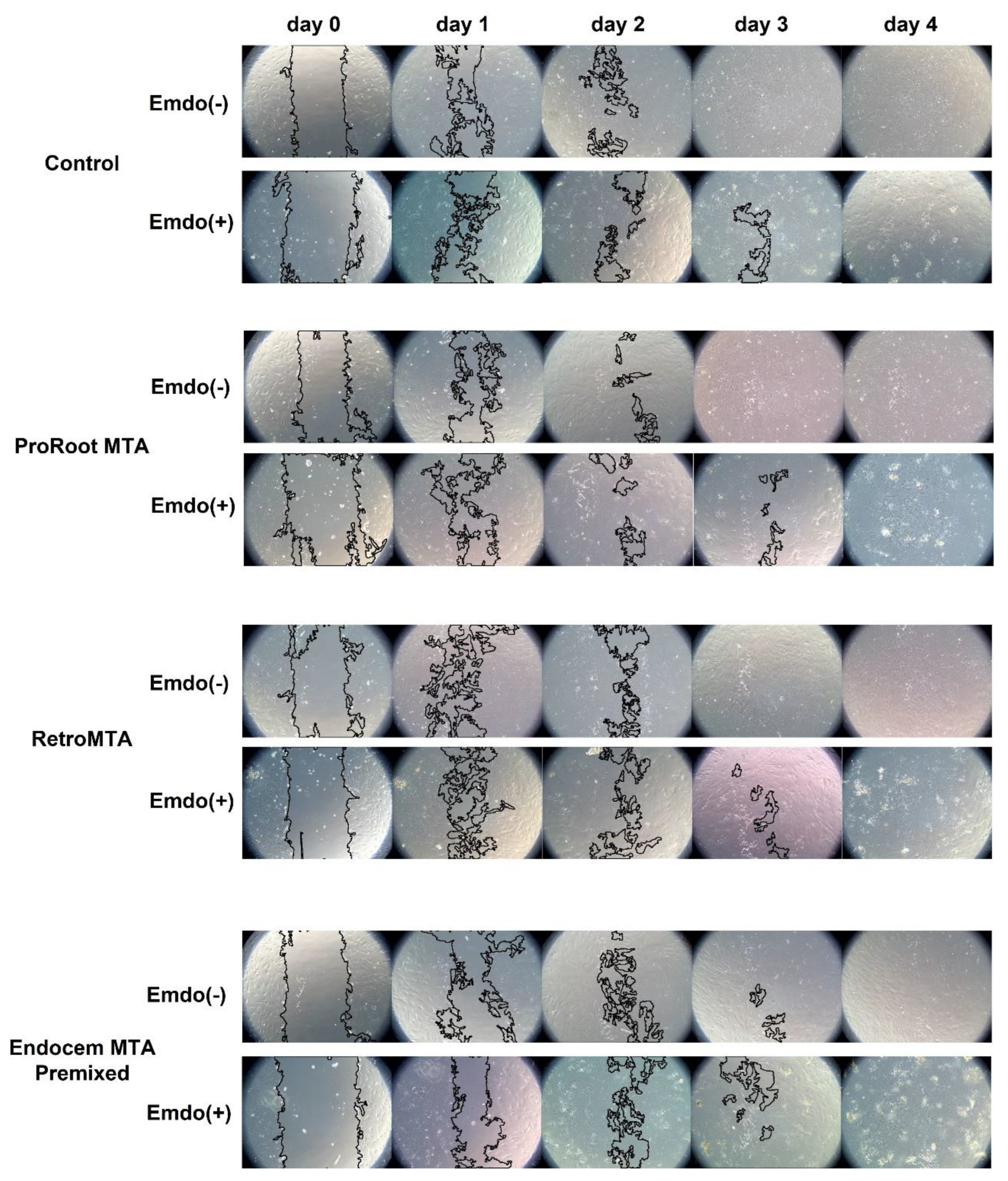 Materials 14 07750 g003 Materials 14 07750 g003
