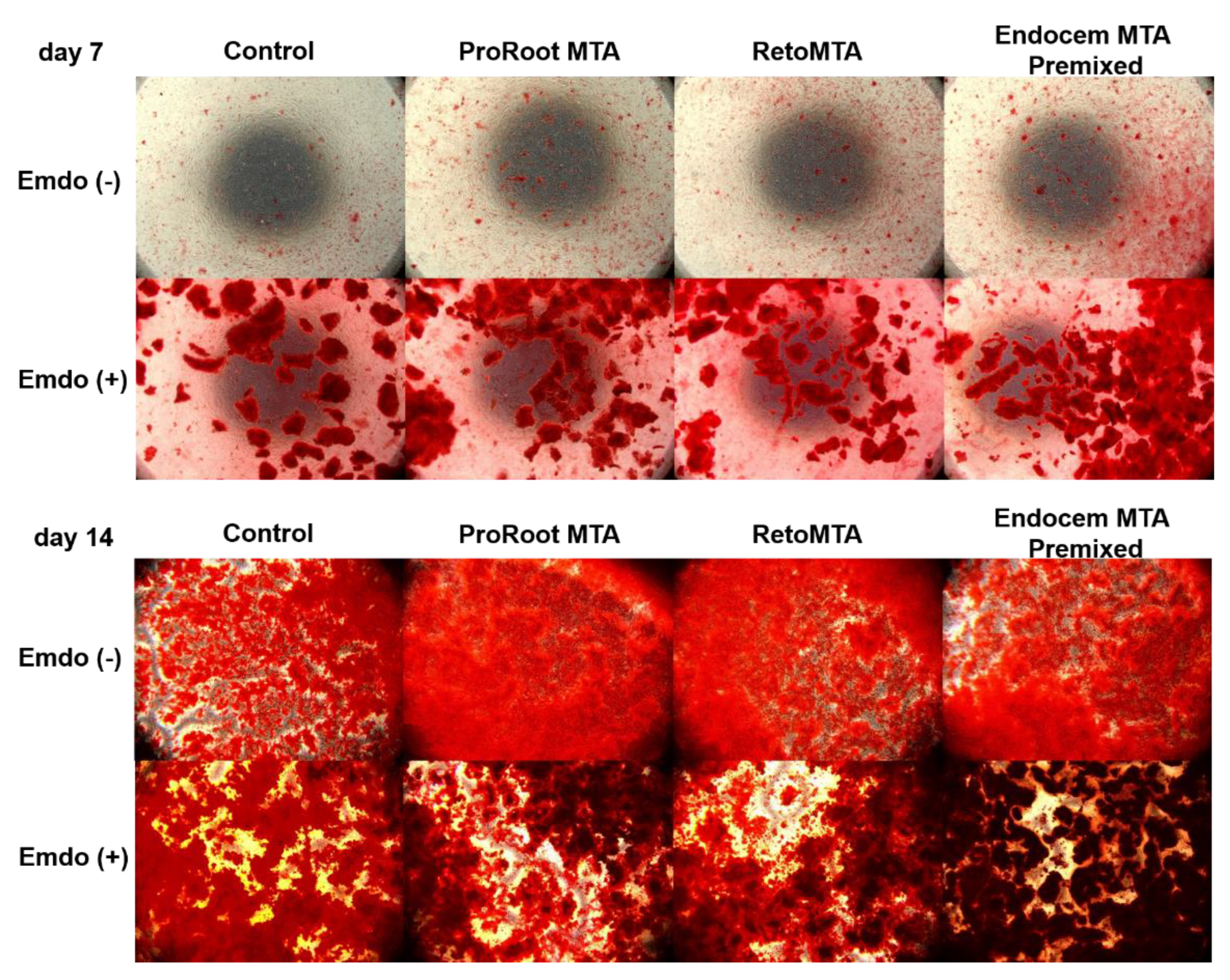 Materials 14 07750 g006 Materials 14 07750 g006