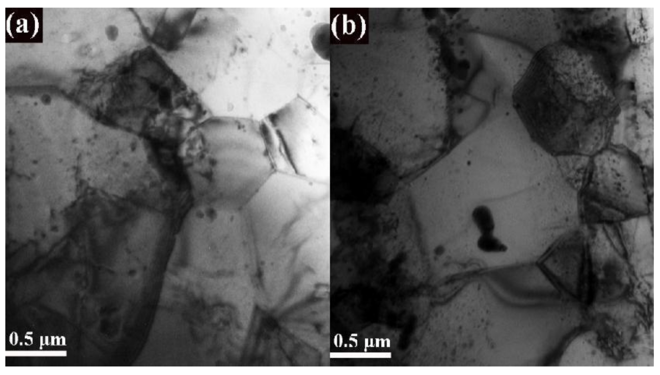 Materials 14 07767 g004