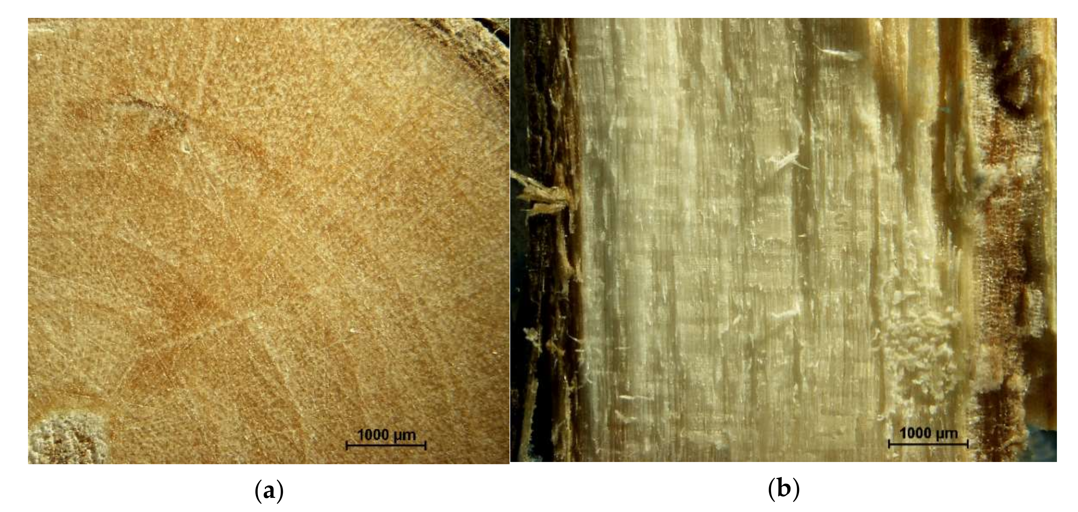 Materials 14 07772 g003 Materials 14 07772 g003