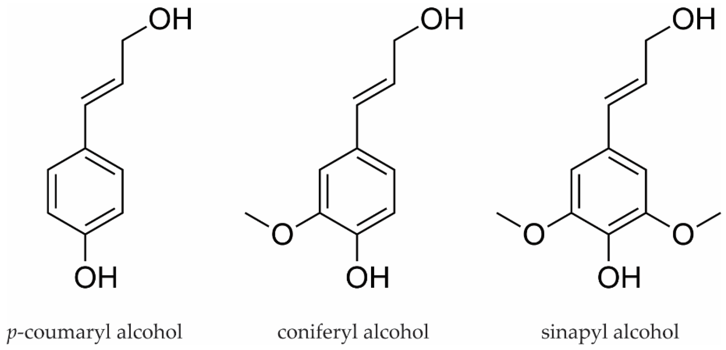 Materials 14 07774 g001