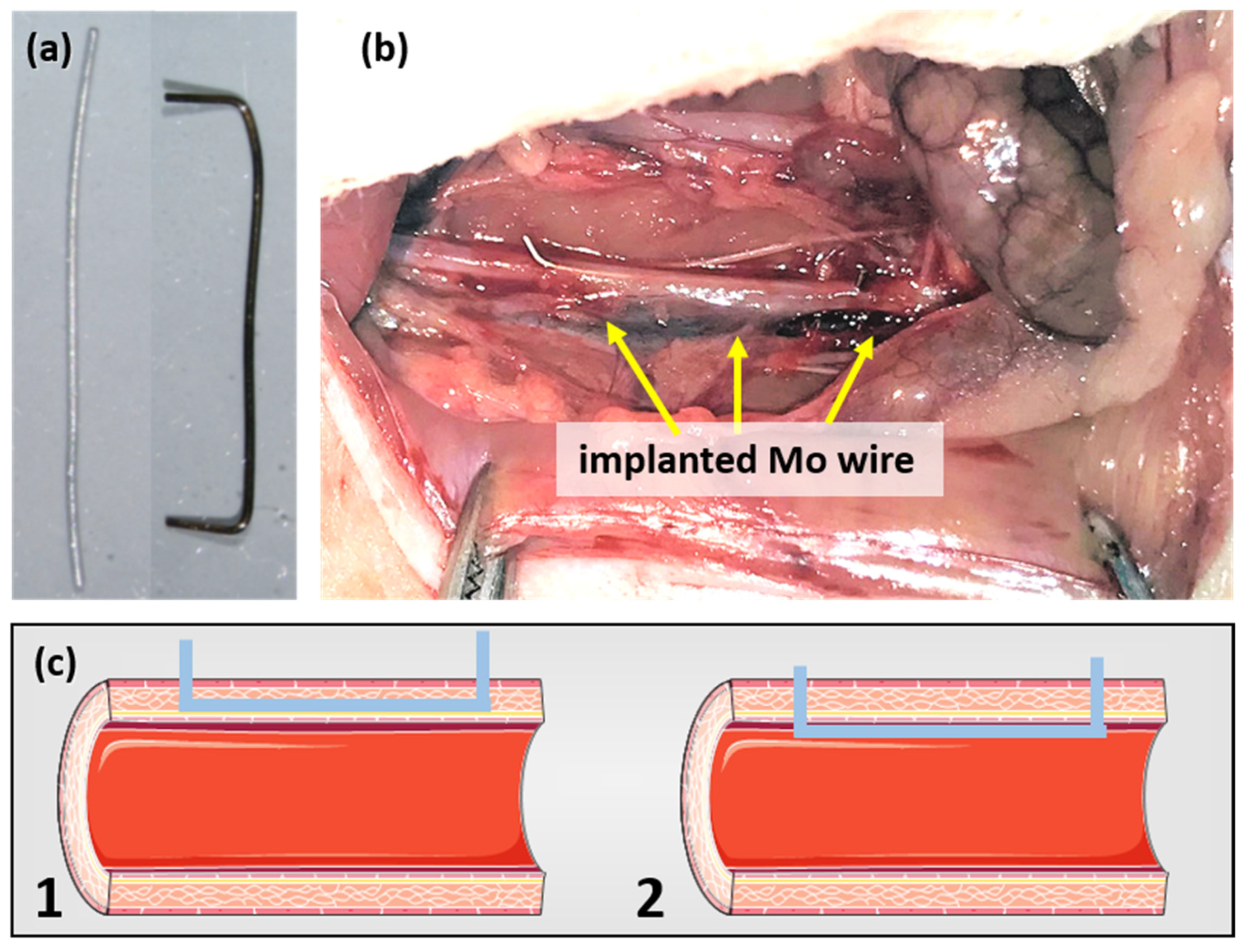 Materials 14 07776 g001