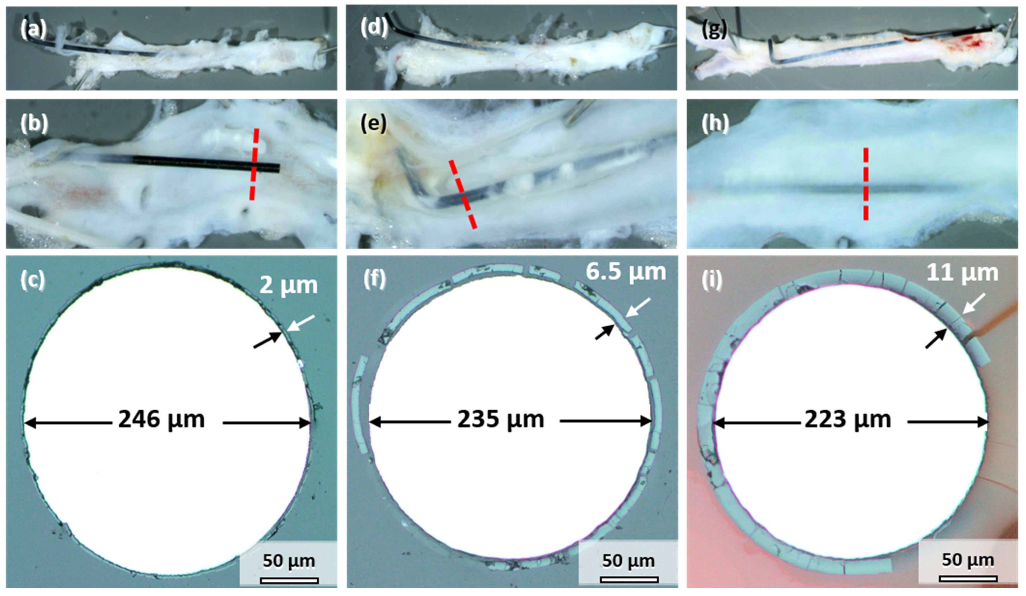 Materials 14 07776 g005