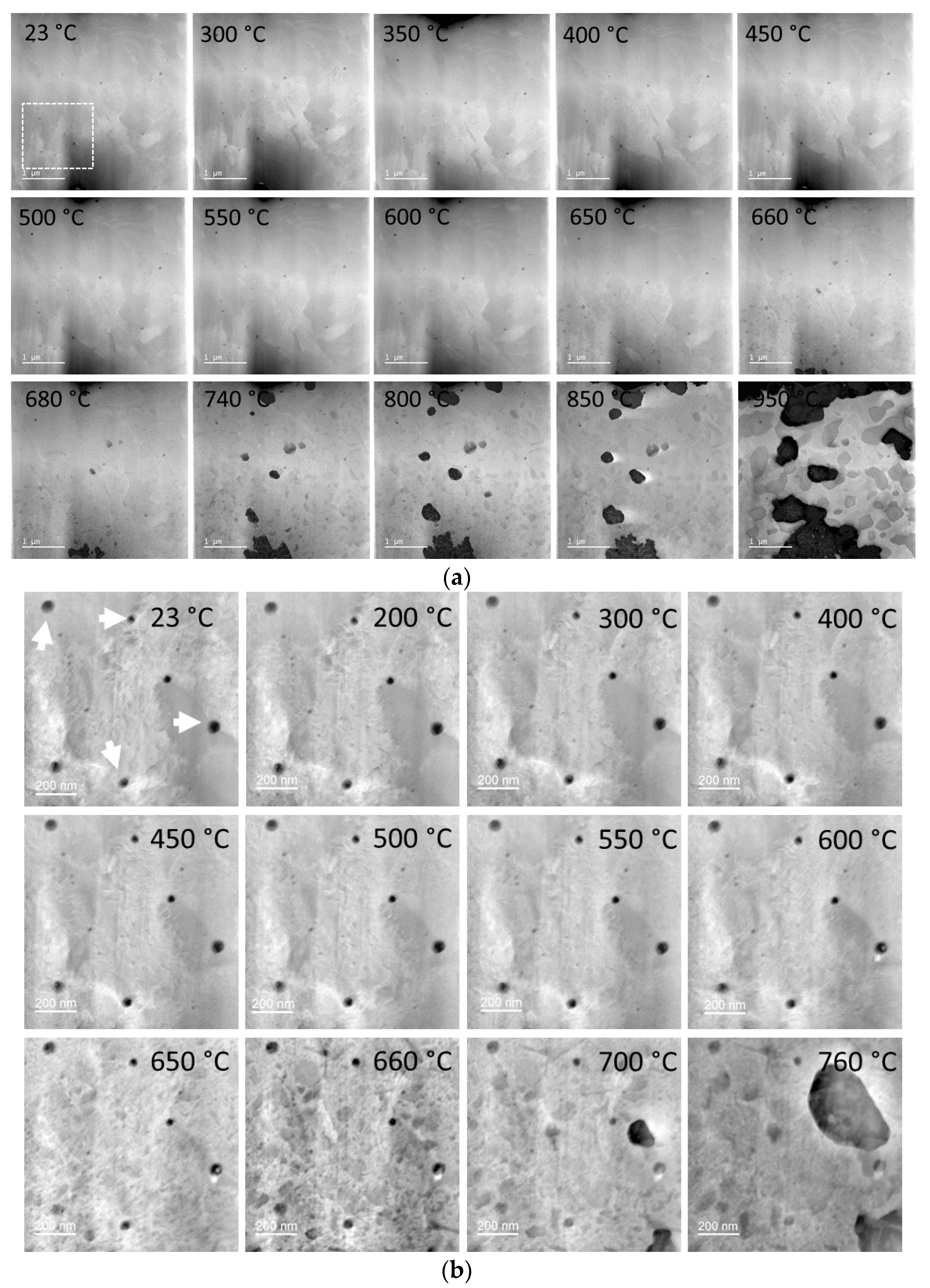 Materials 14 07784 g009