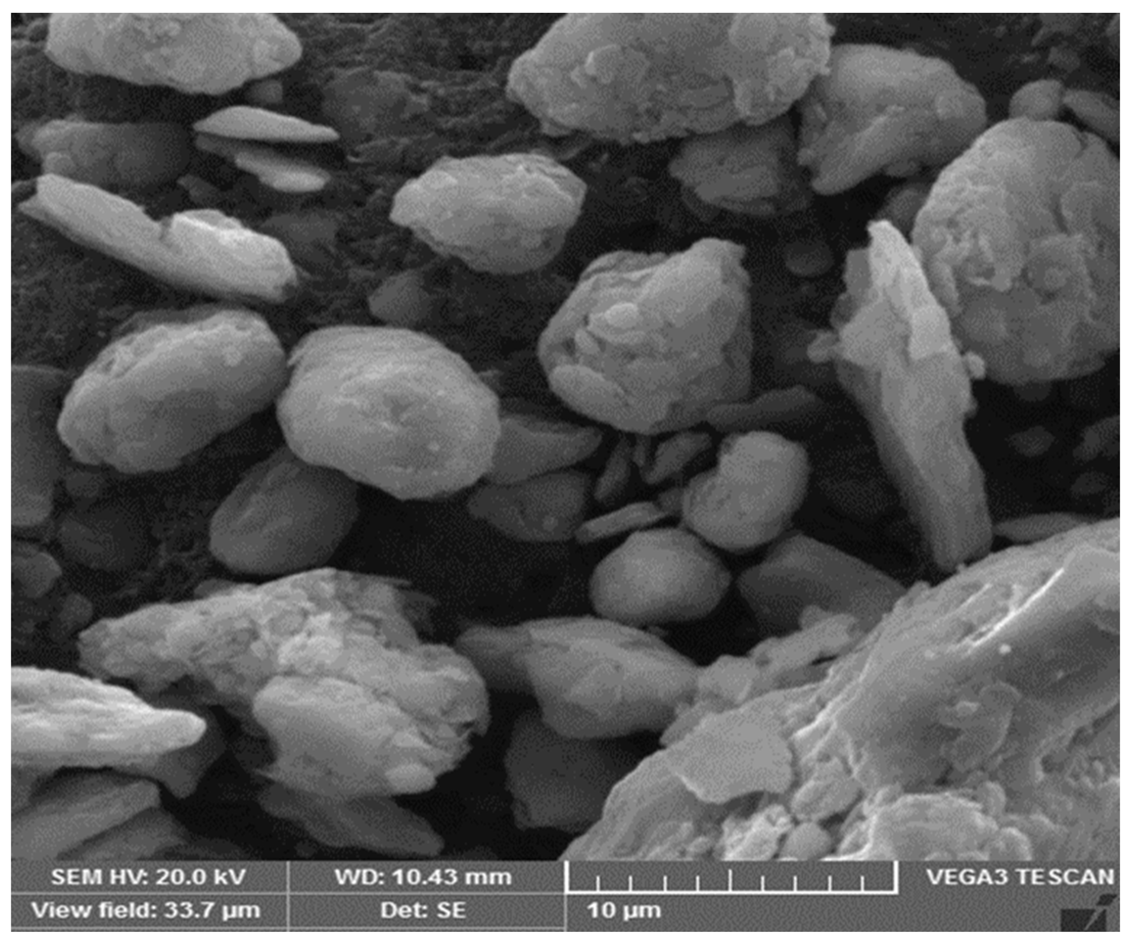 Materials 14 07790 g001