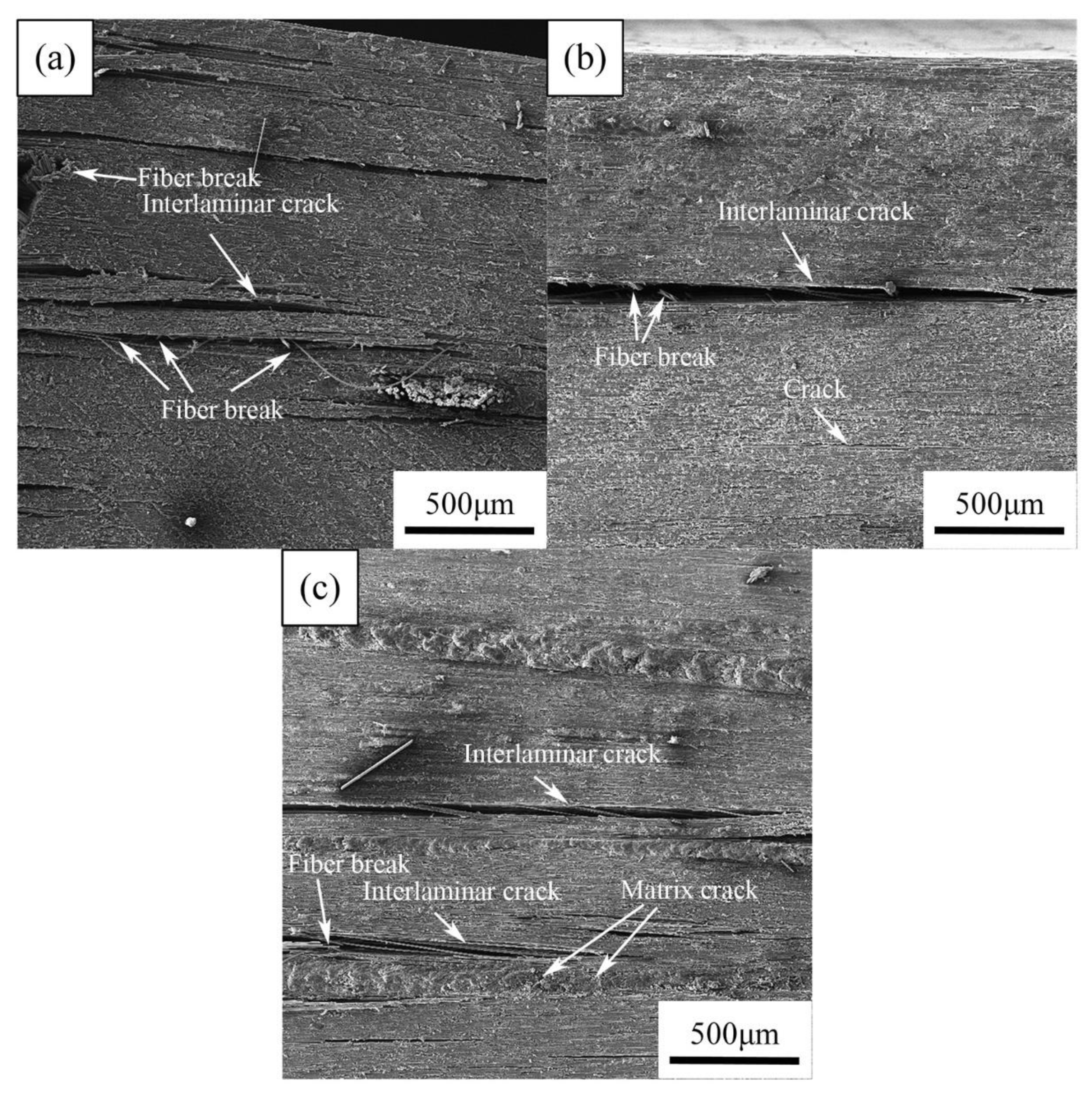 Materials 14 07810 g013