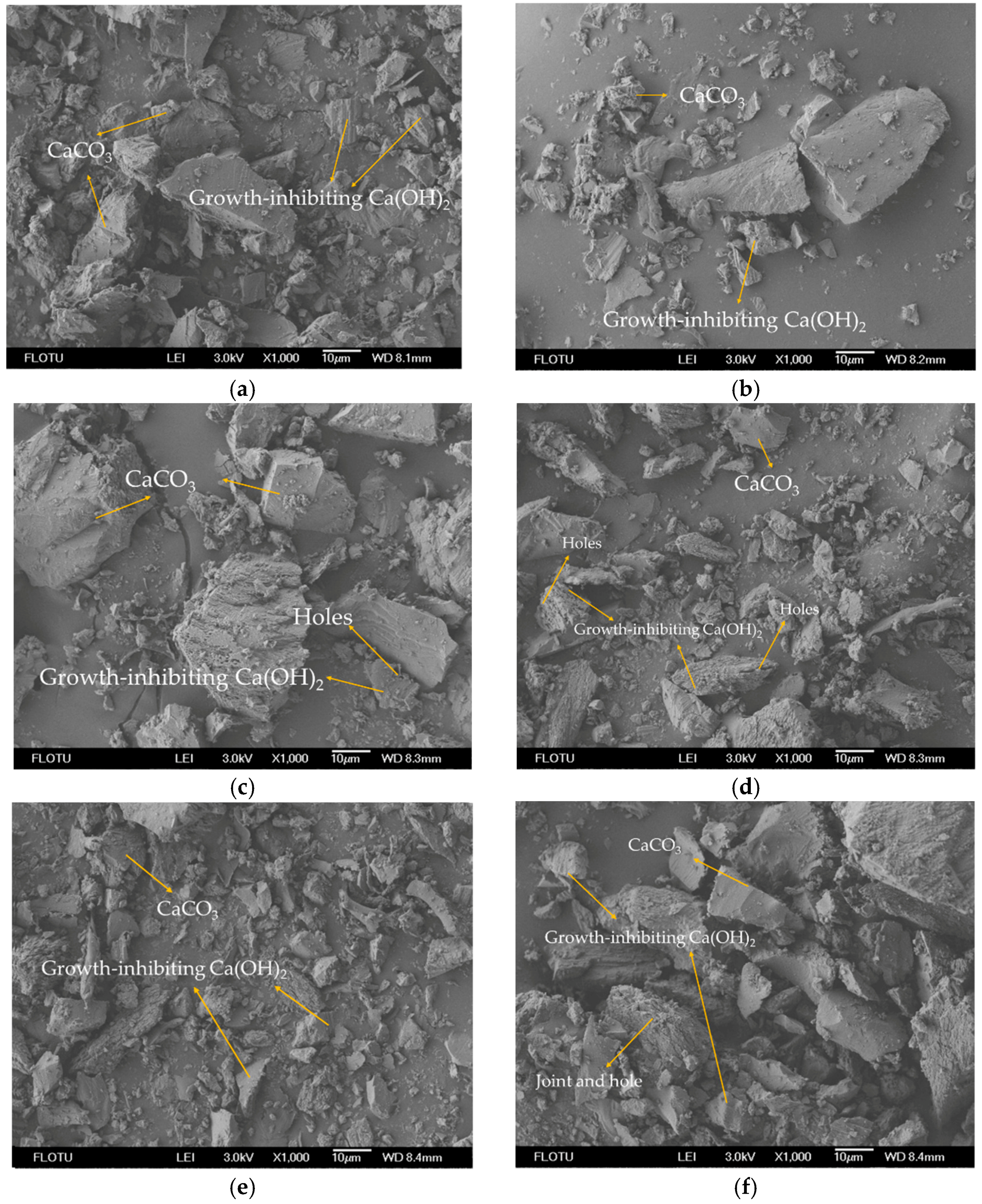 Materials 14 07819 g004