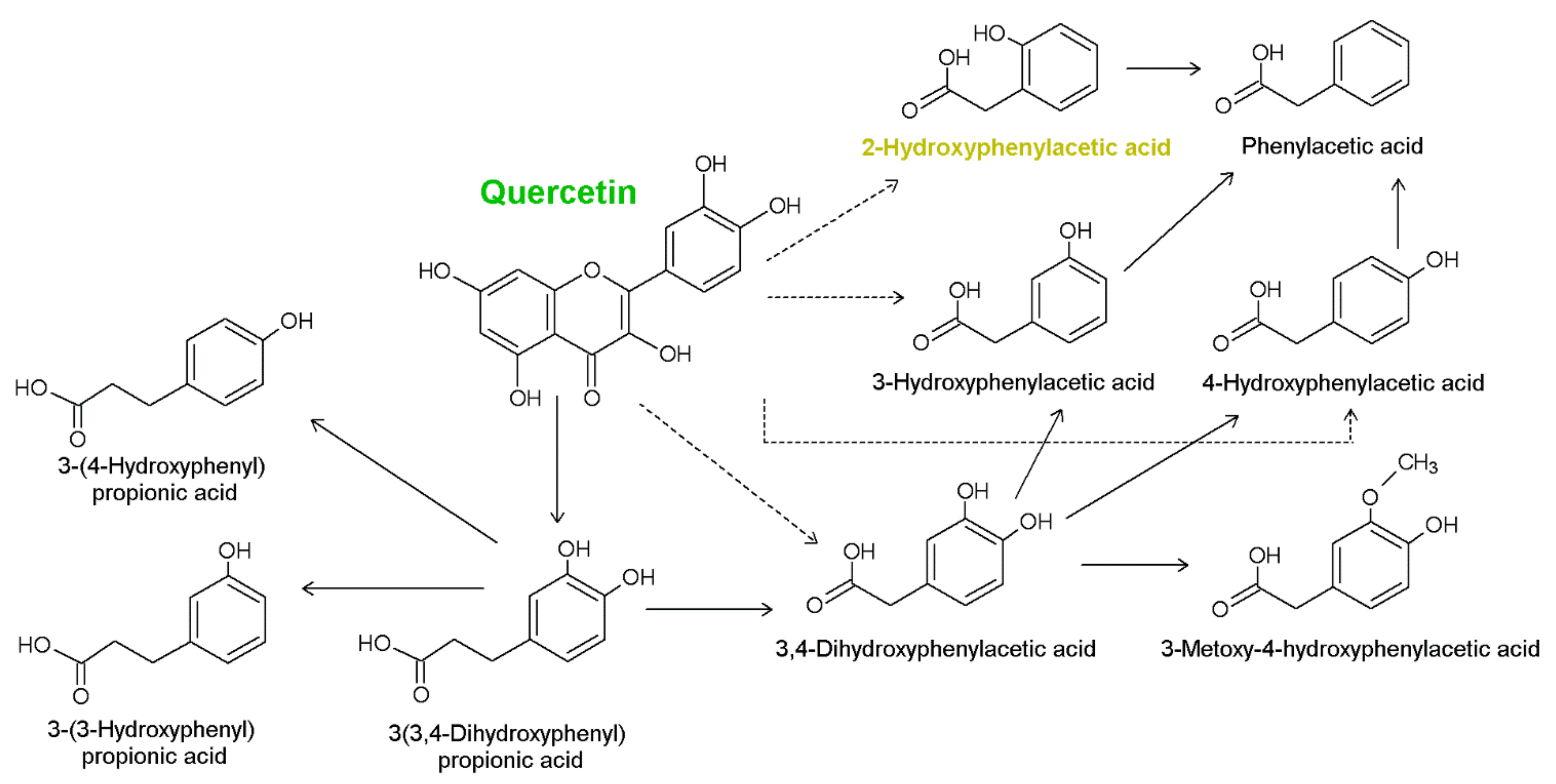 Materials 14 07824 g001