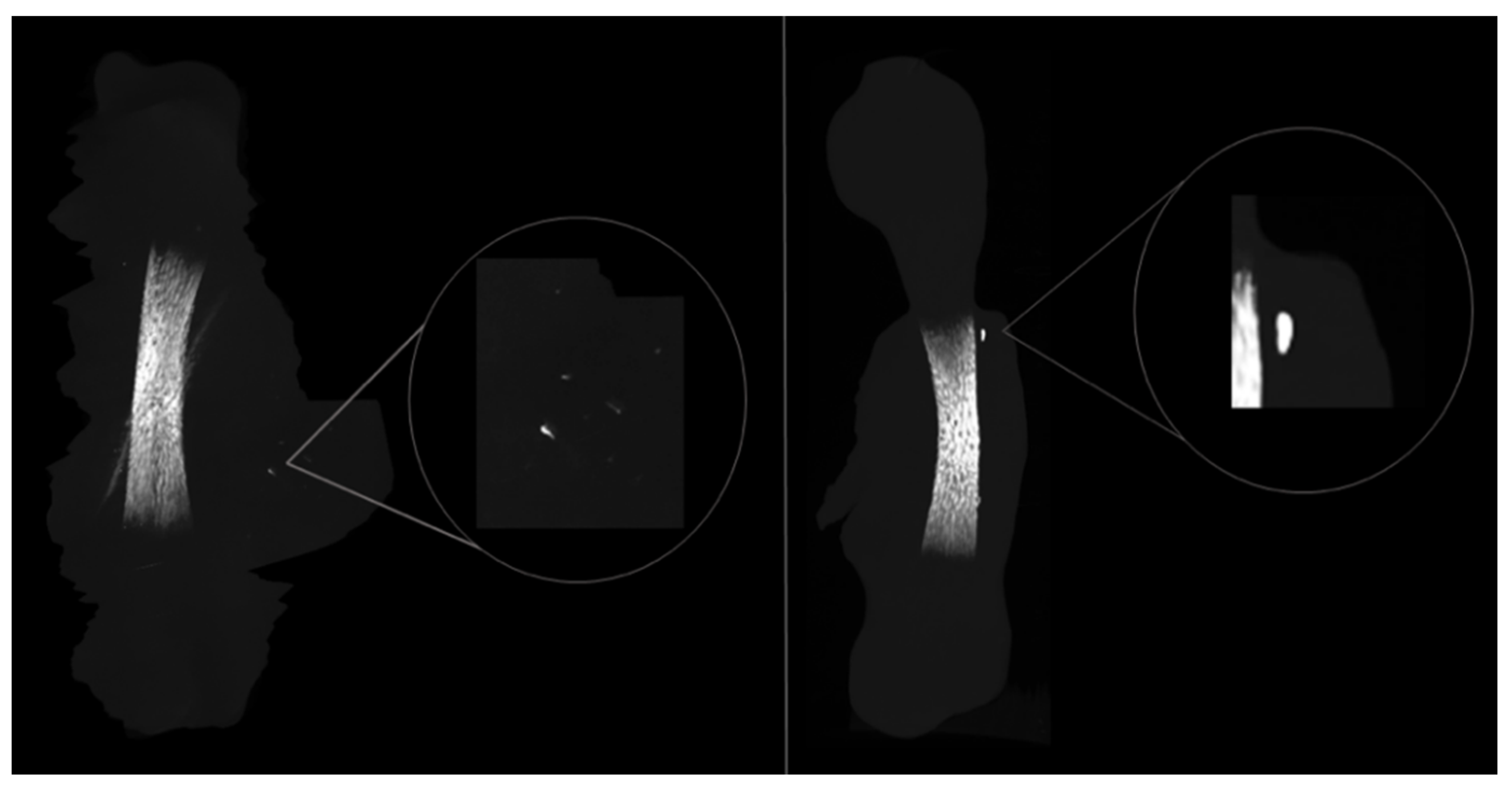 Materials 14 07830 g004