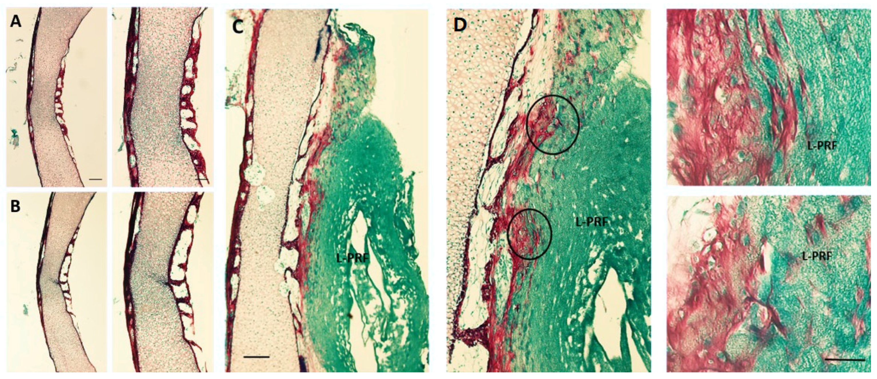 Materials 14 07830 g005