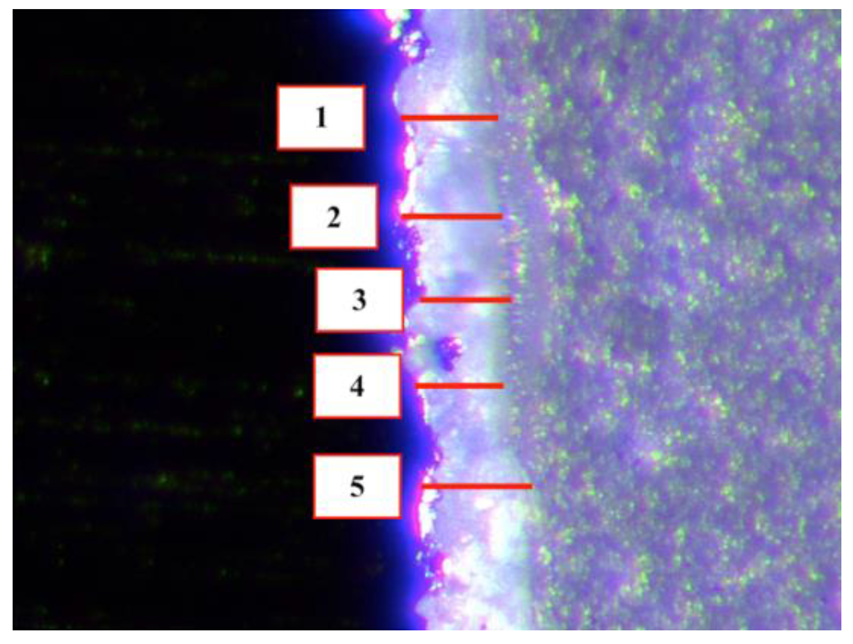 Materials 14 07858 g004