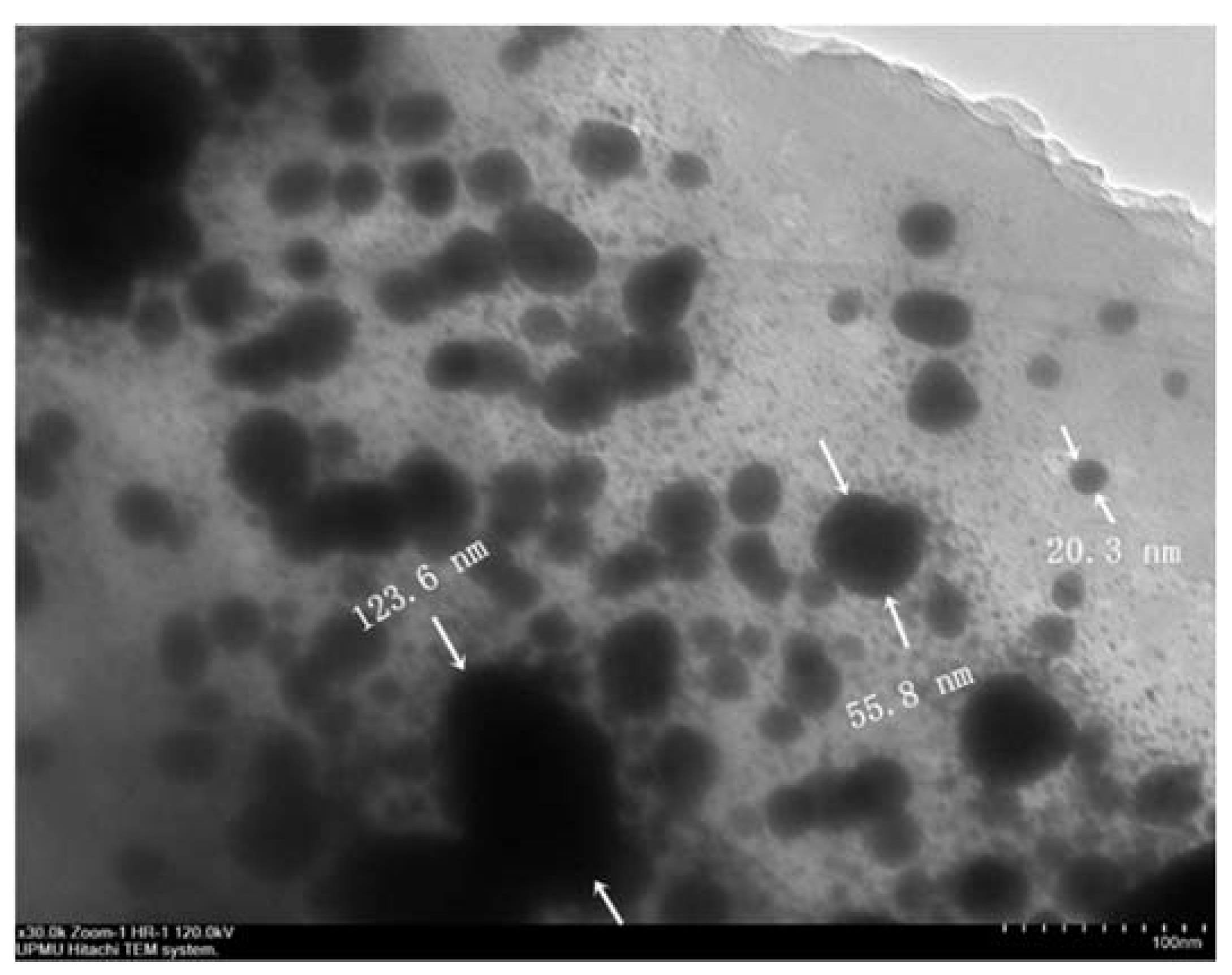 Materials 14 07867 g002