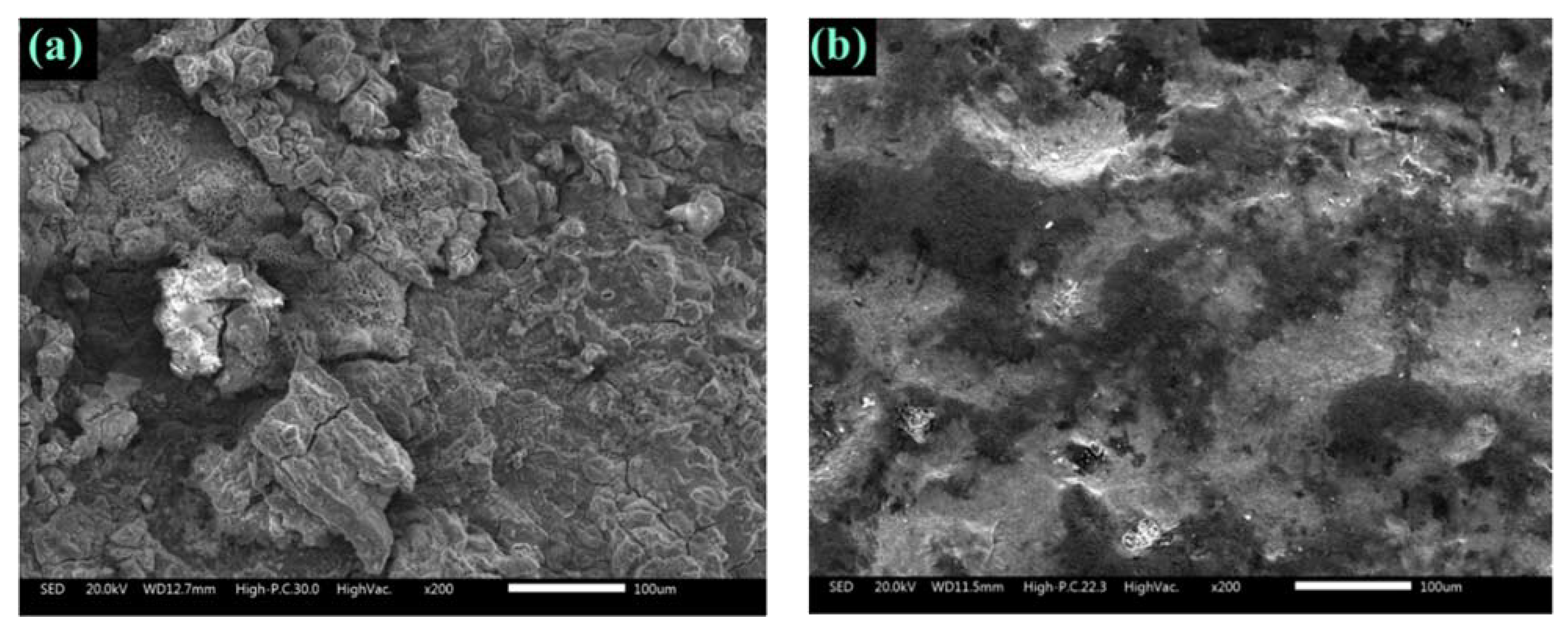 Materials 14 07867 g006