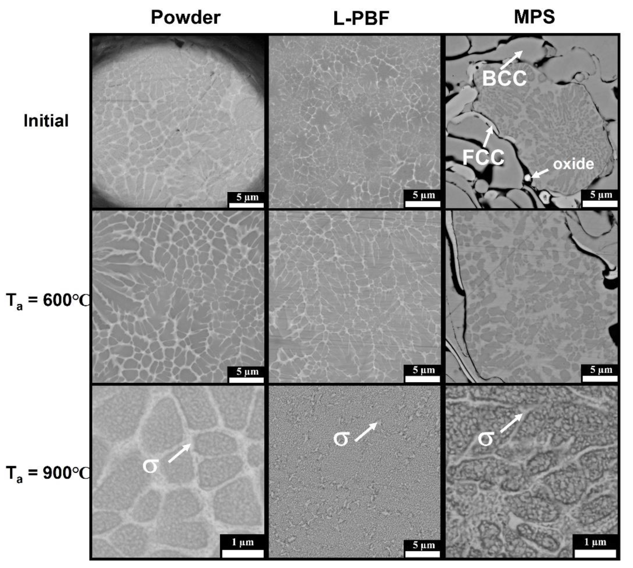 Materials 14 07870 g003