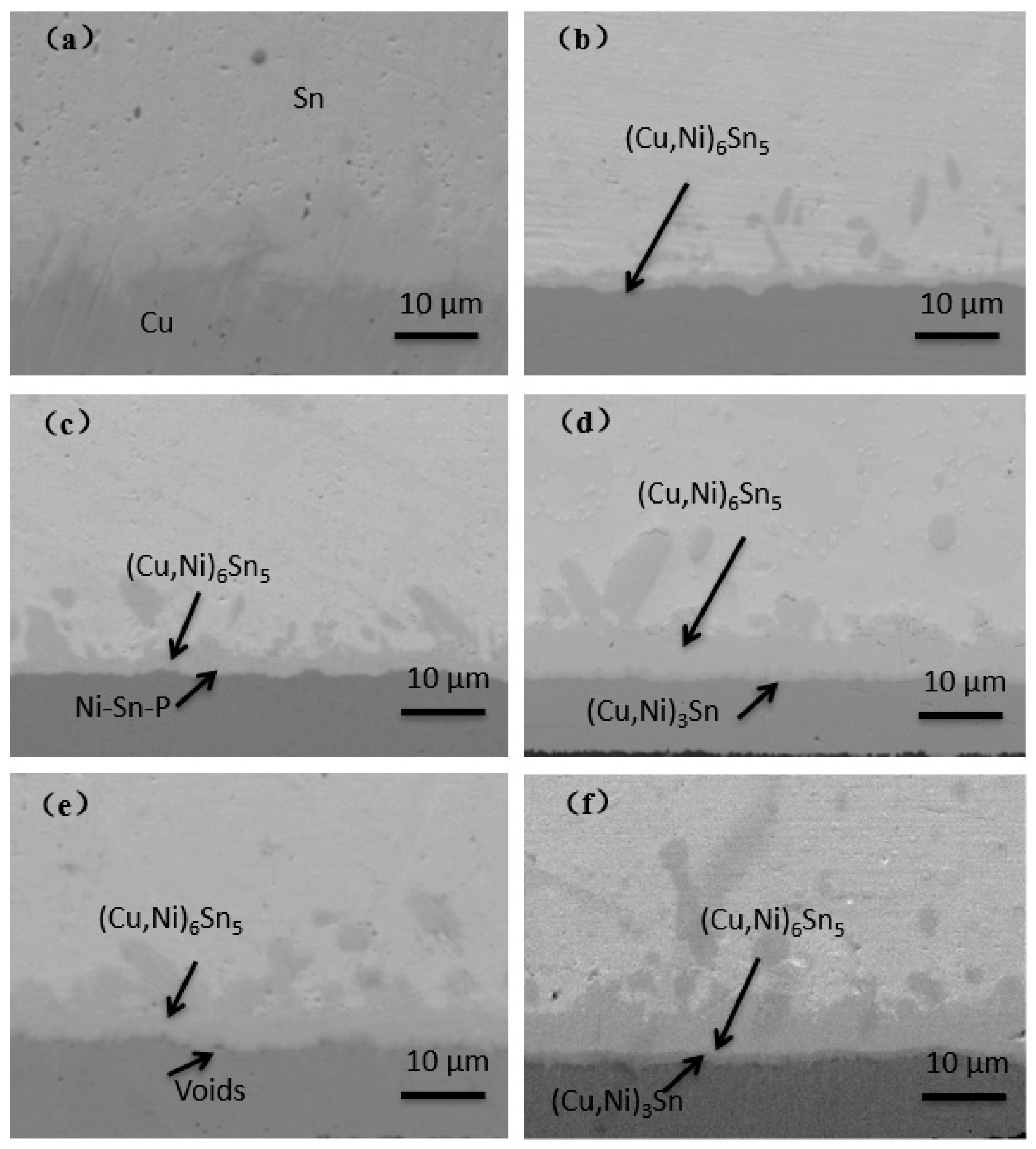 Materials 14 07874 g005