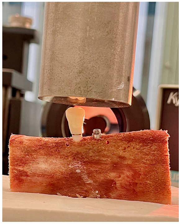 Materials 14 07886 g005