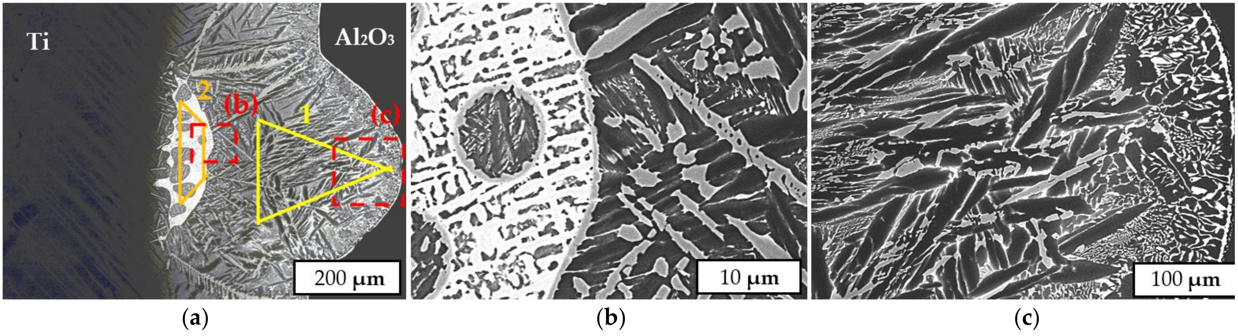 Materials 14 07895 g010