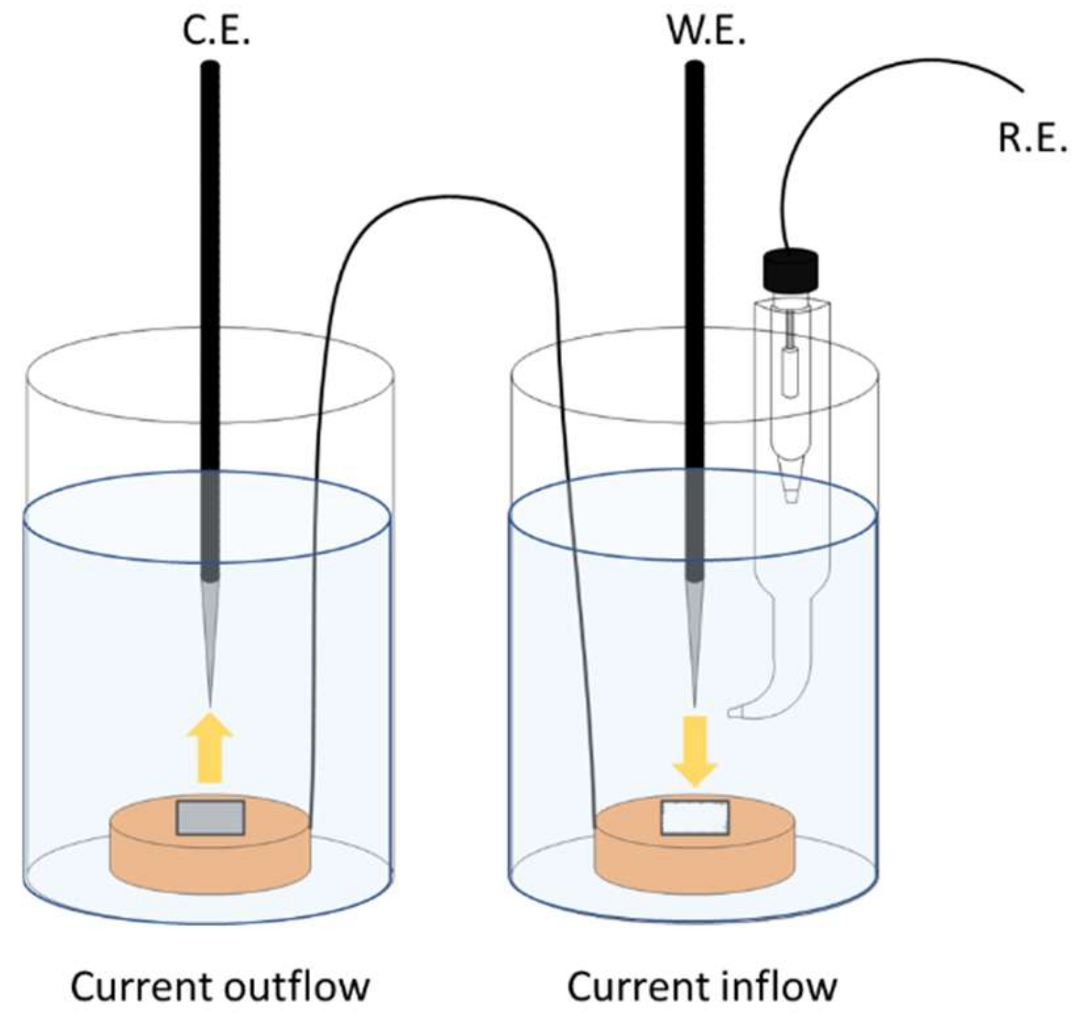 Materials 14 07905 g001