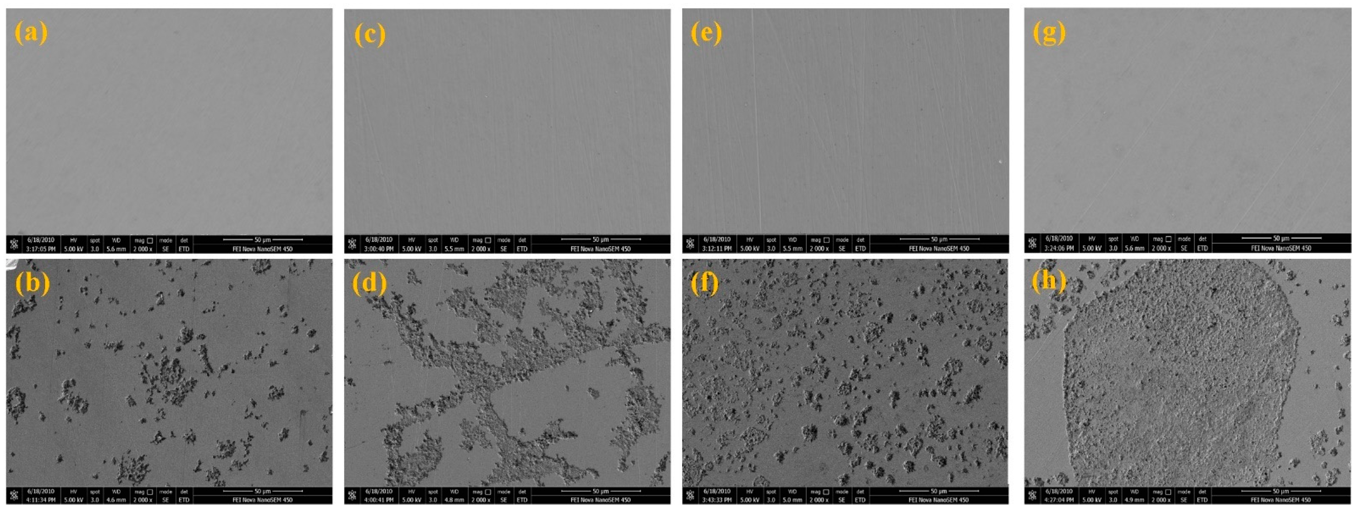 Materials 14 07911 g006