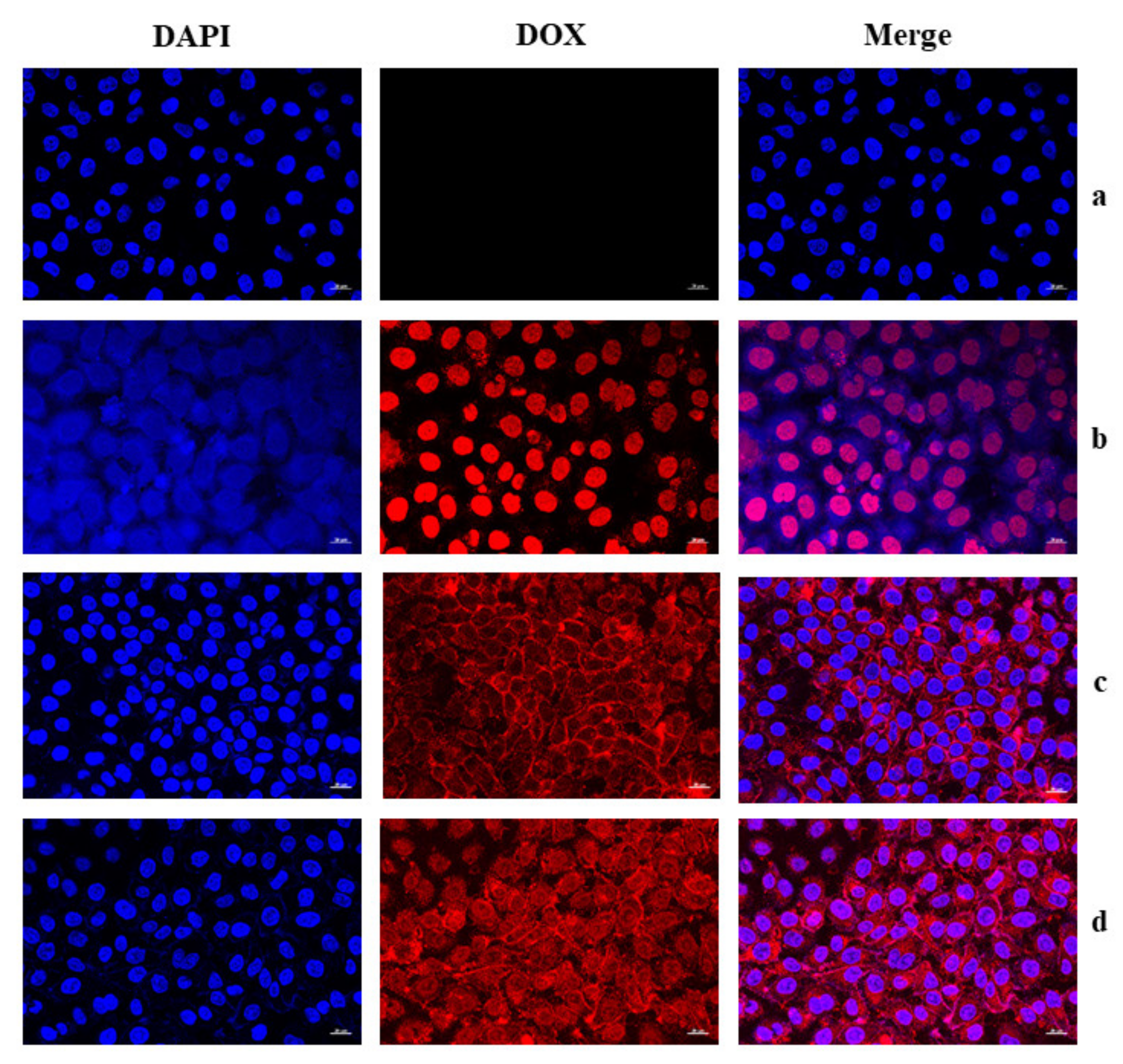 Materials 14 07913 g010