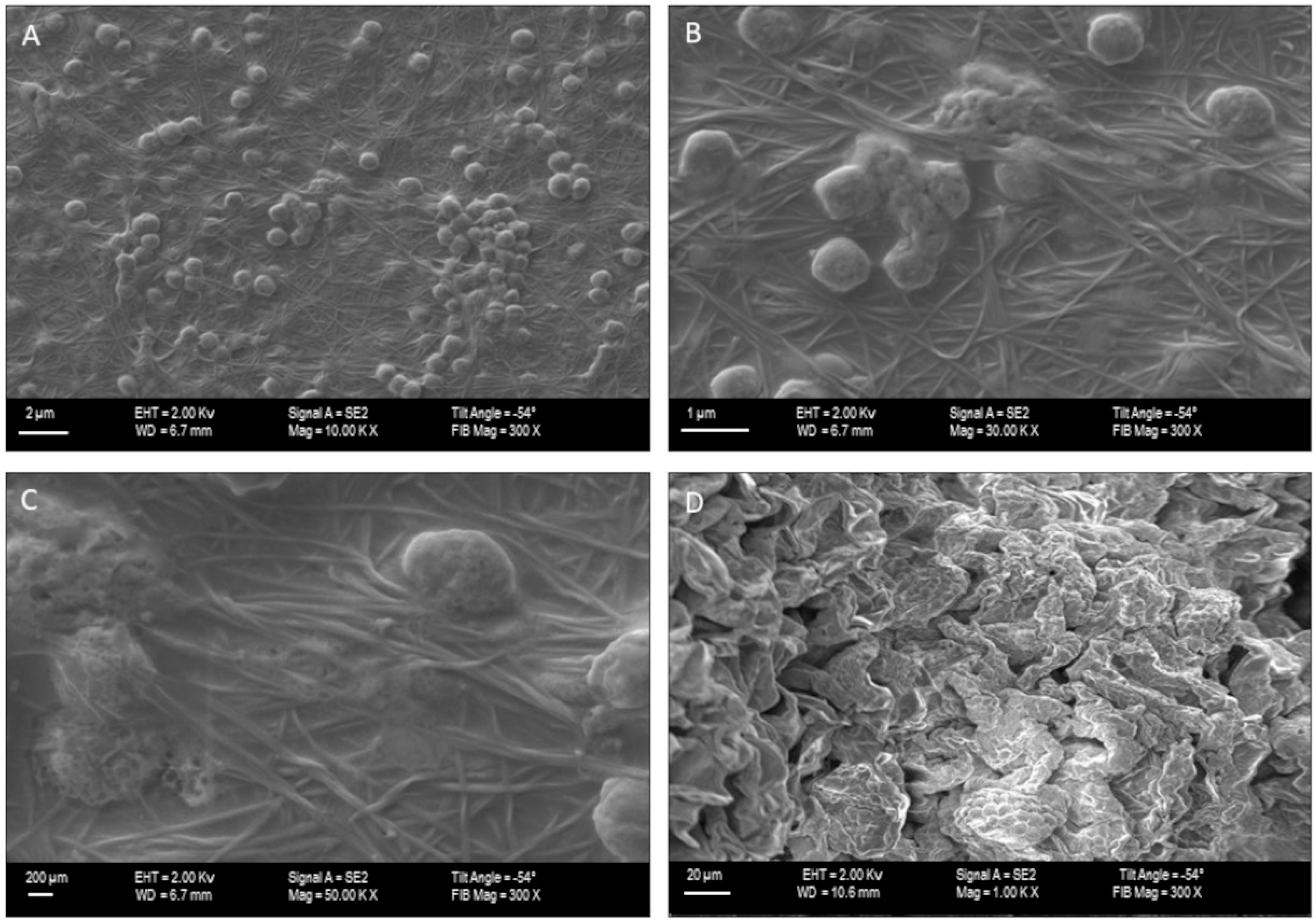 Materials 15 00016 g002