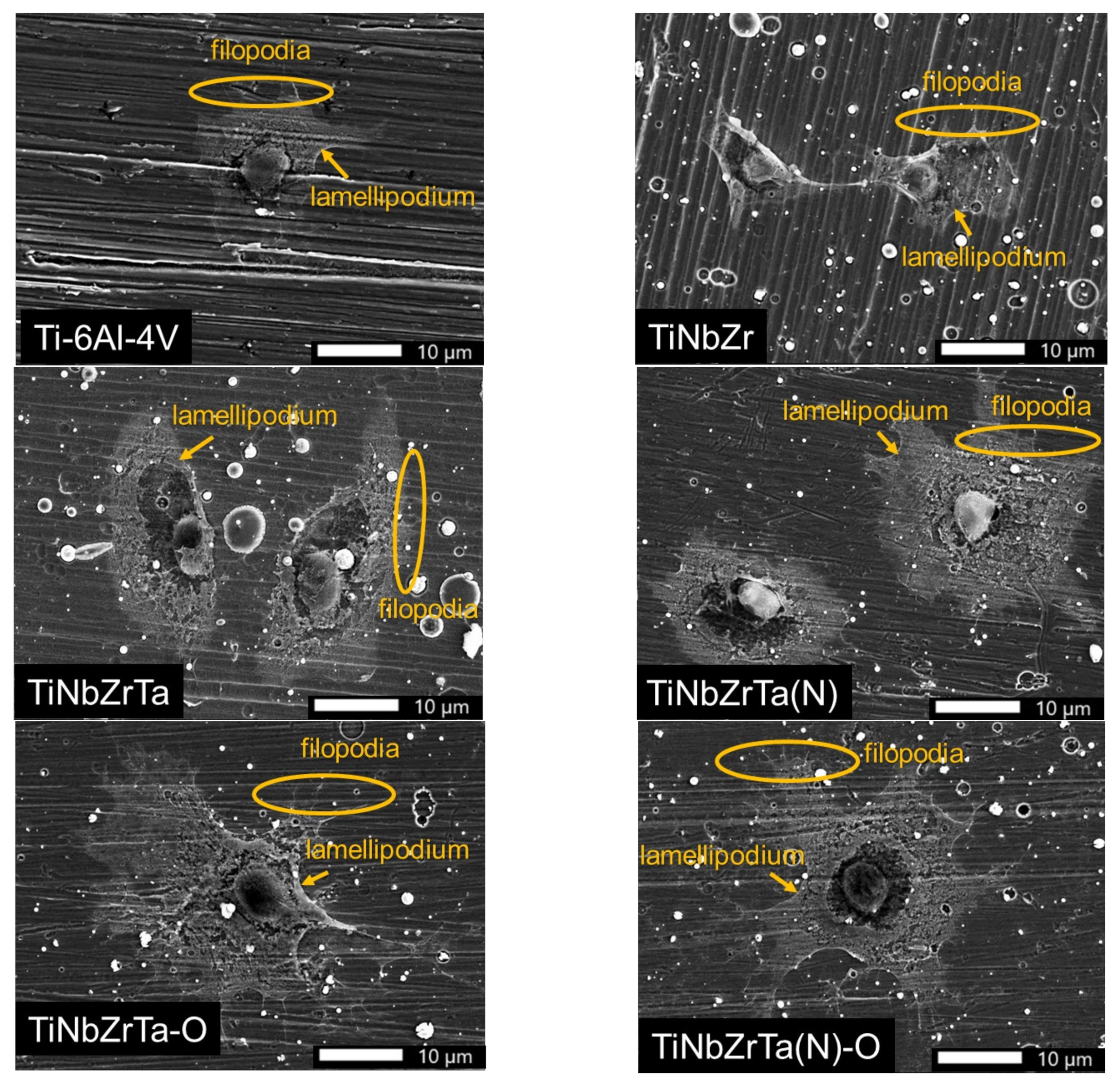 Materials 15 00029 g009