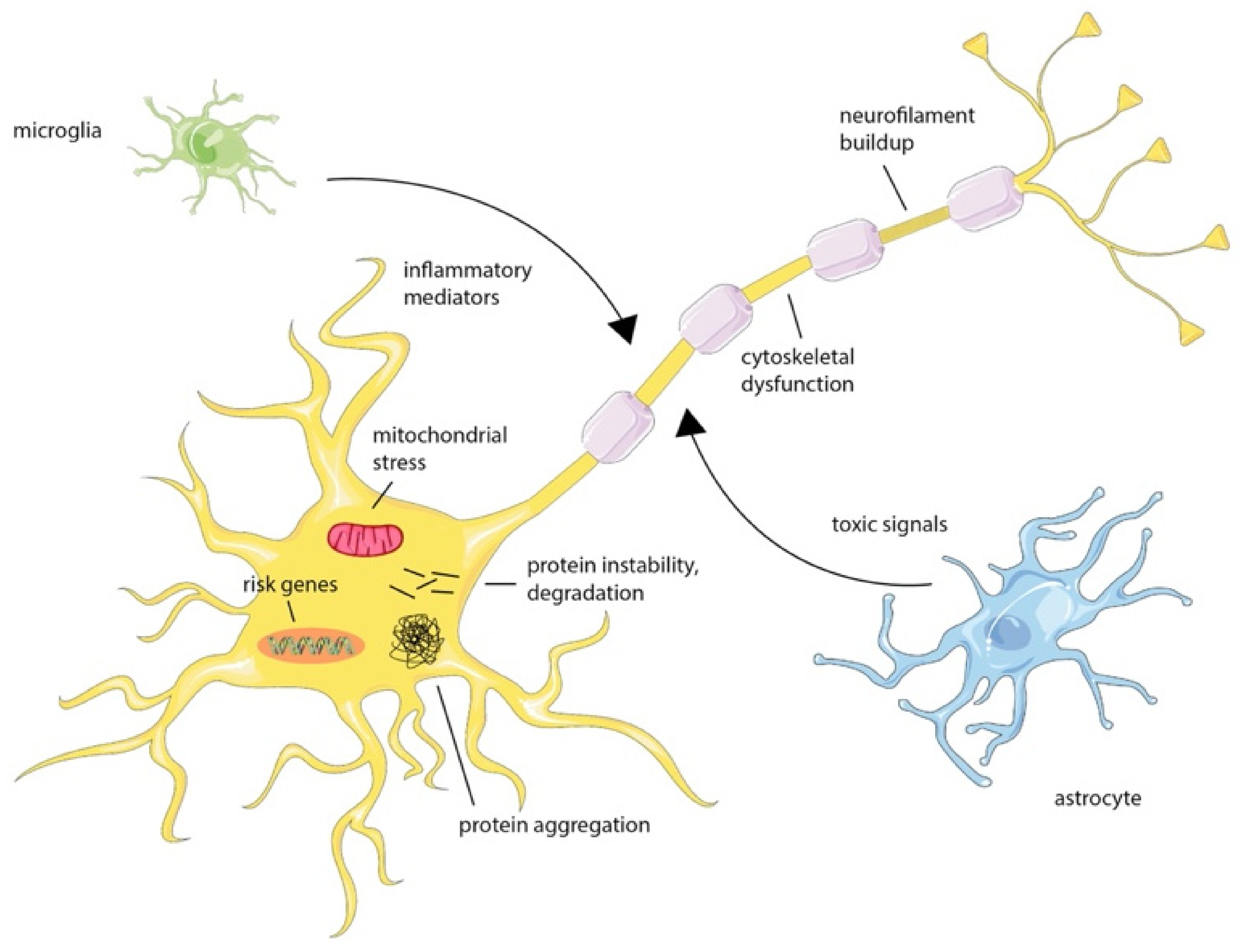 Materials 15 00126 g002