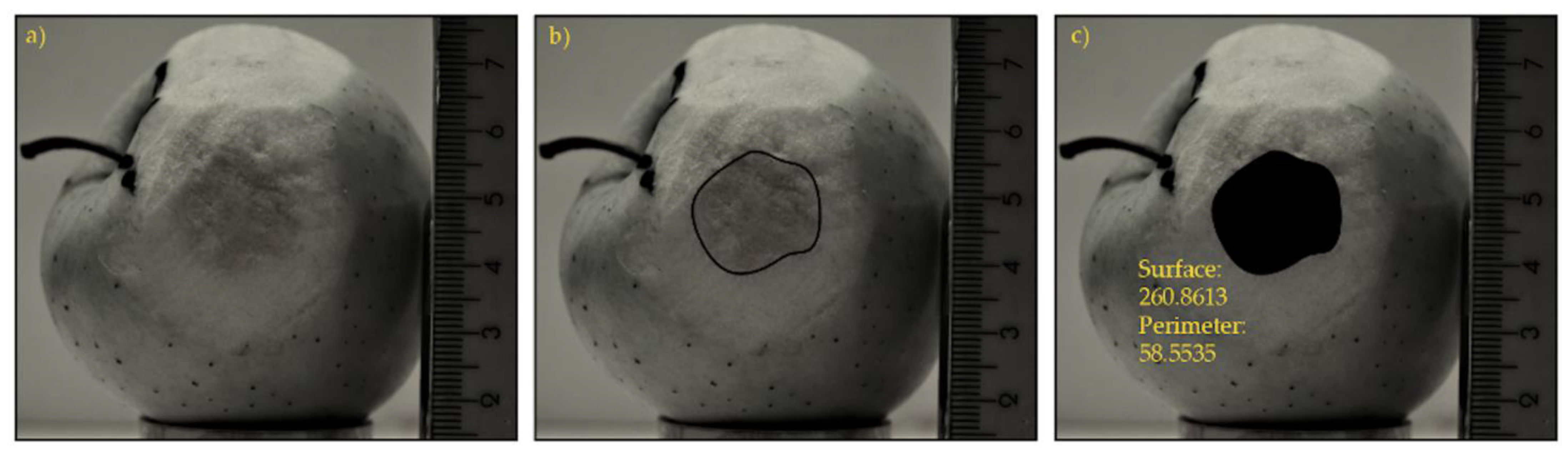 Materials 15 00139 g002