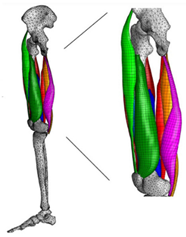 Materials 15 00153 i022