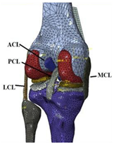 Materials 15 00153 i024