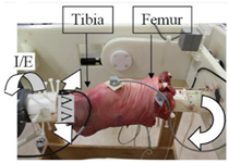 Materials 15 00153 i027