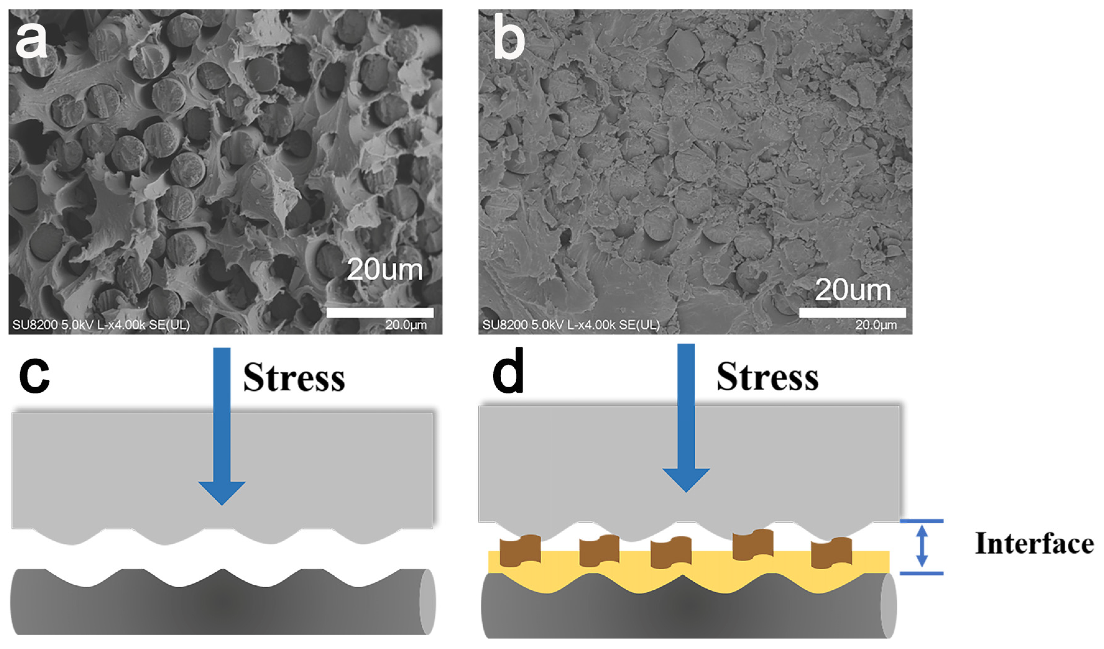 Materials 15 00206 g010