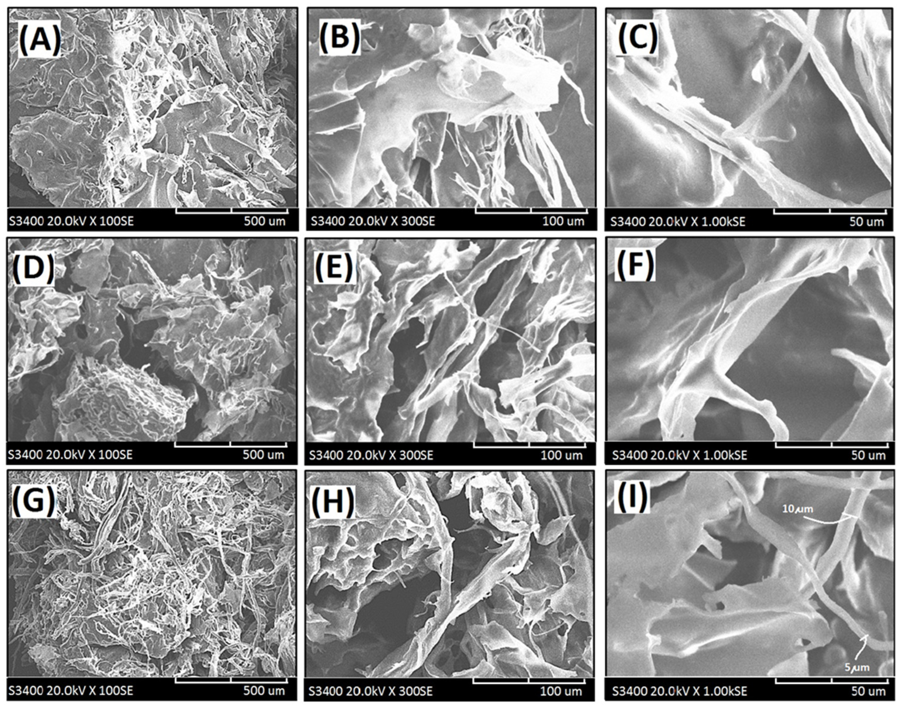 Materials 15 00258 g004