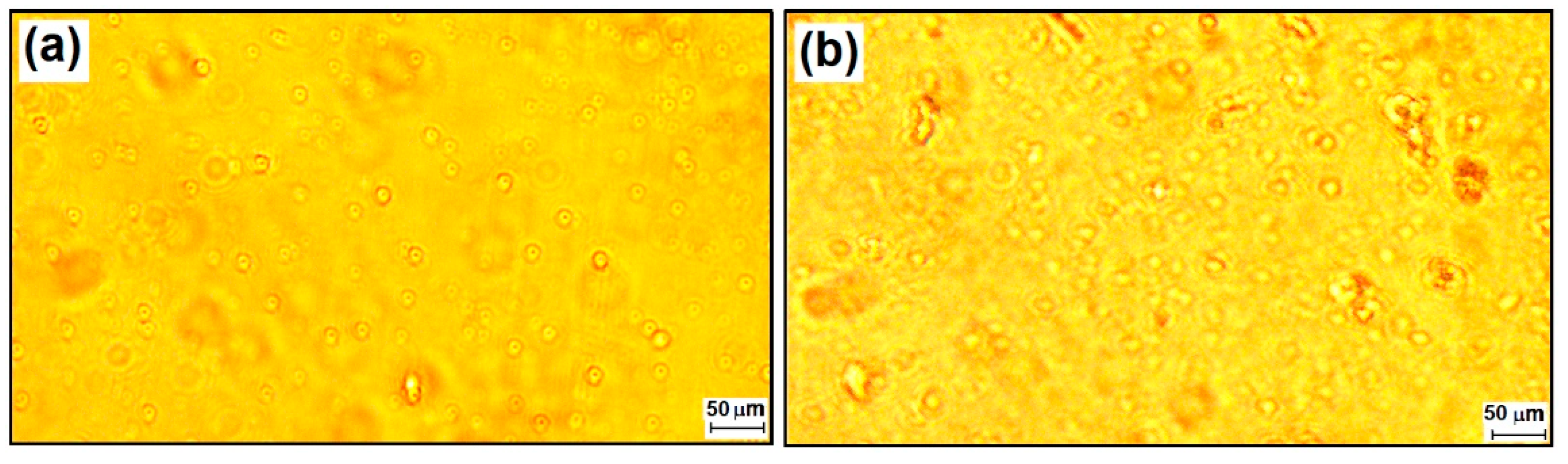 Materials 15 00267 g002