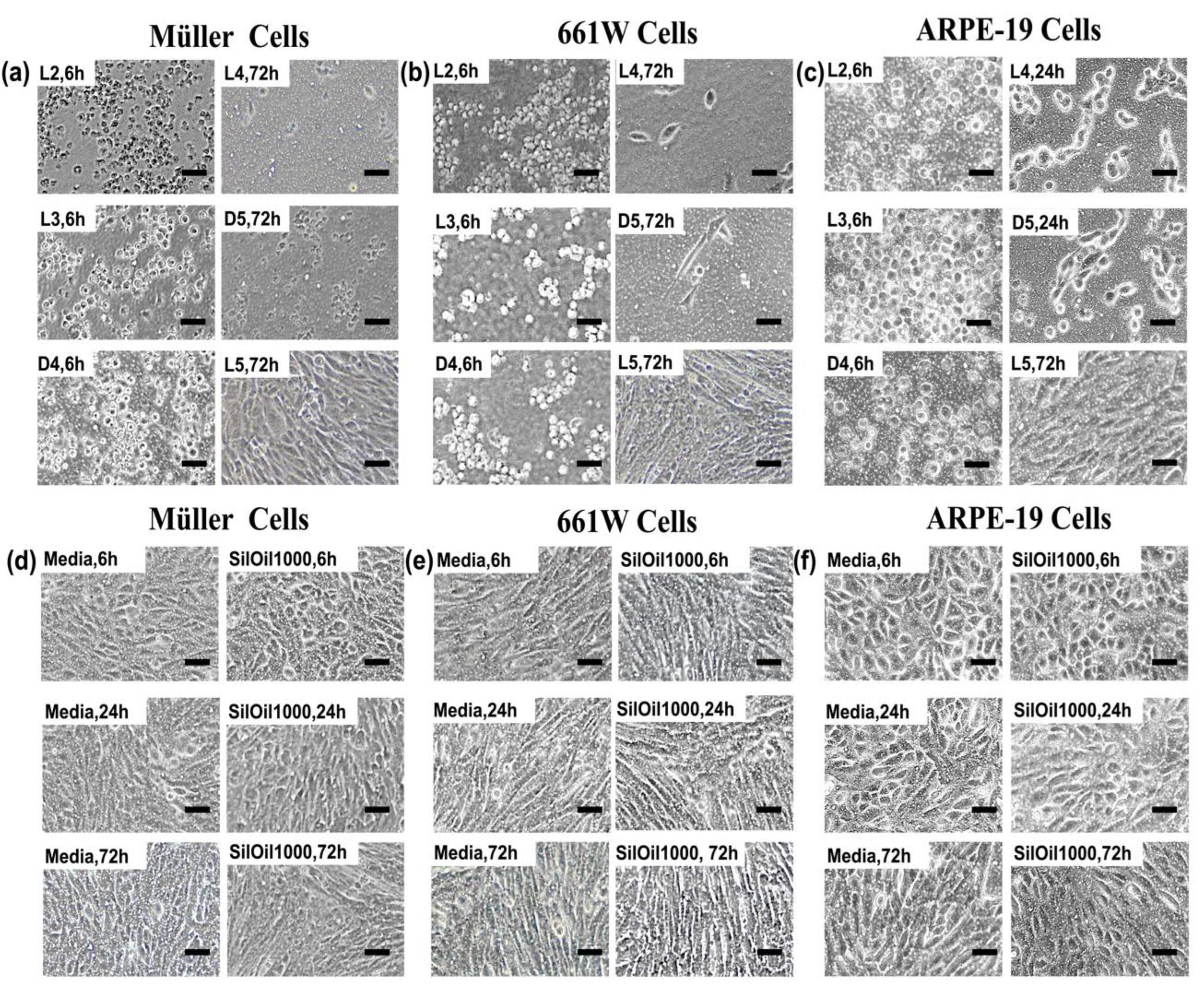 Materials 15 00269 g003