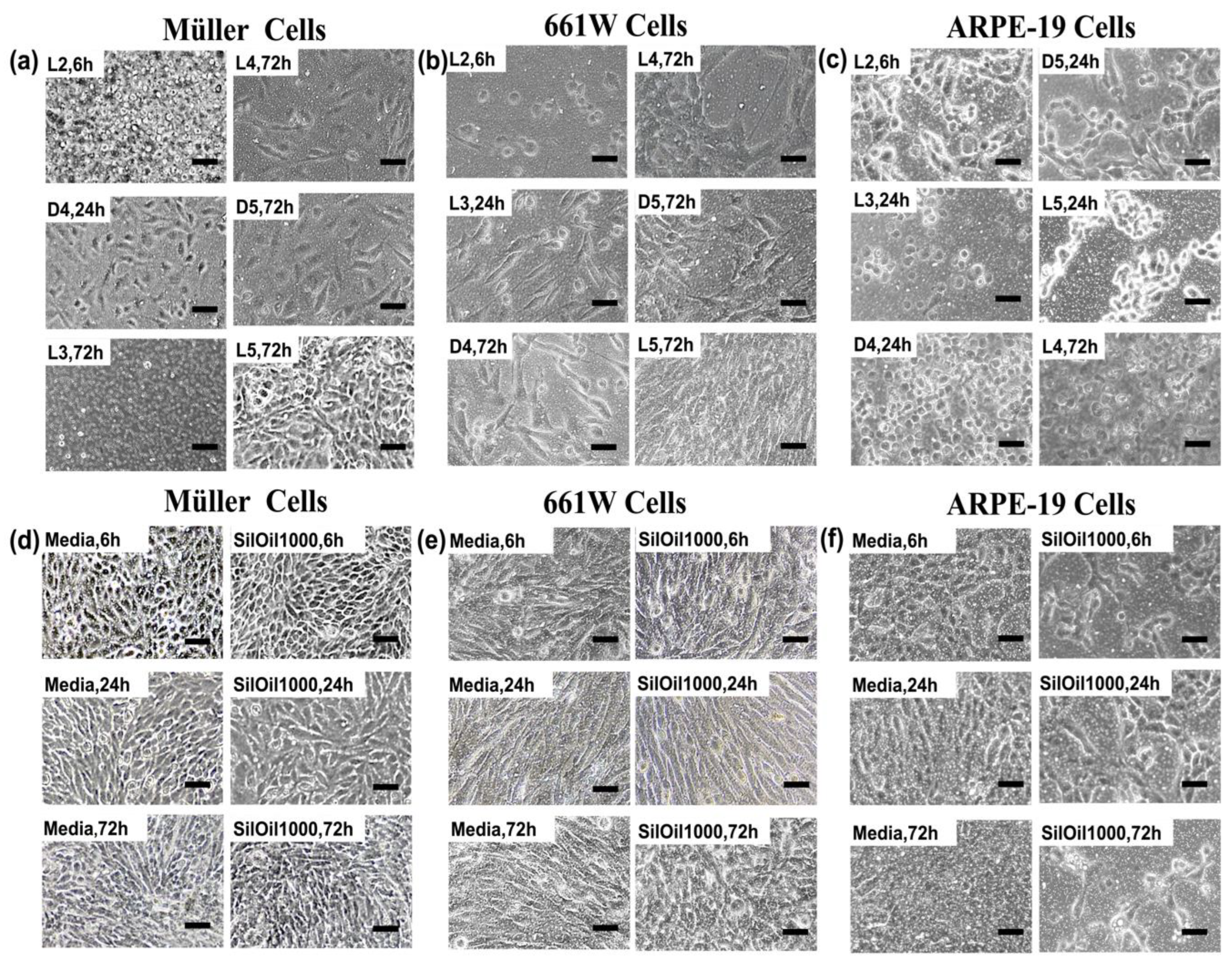 Materials 15 00269 g005