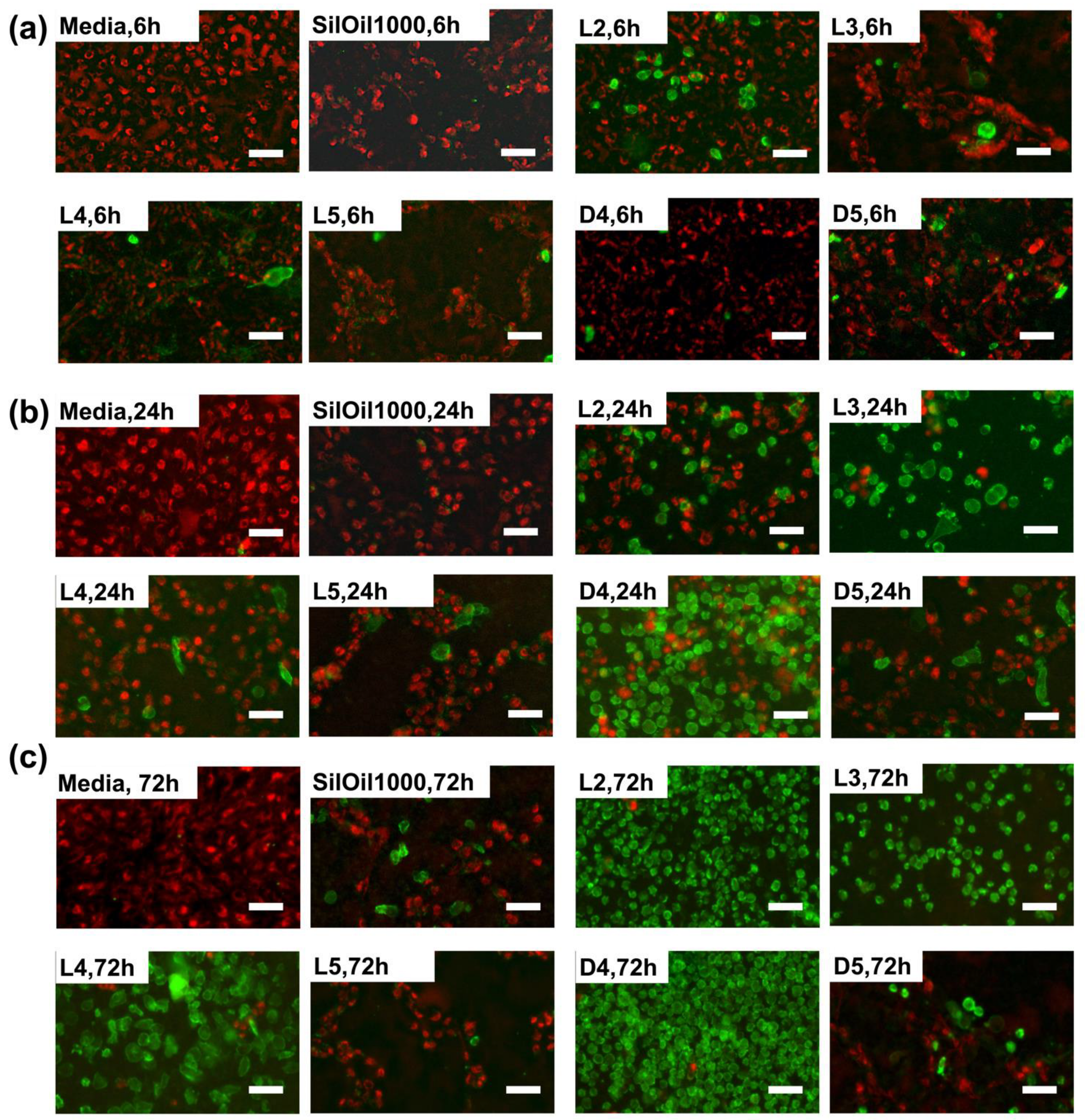 Materials 15 00269 g007